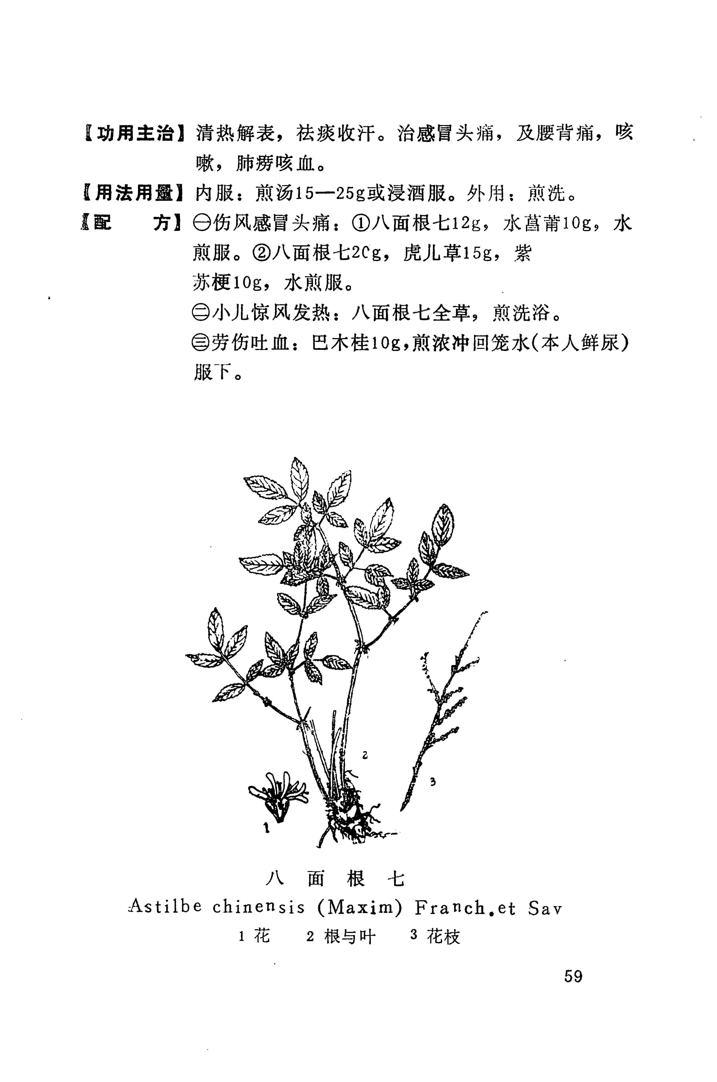 湘西苗药汇编_77.jpg