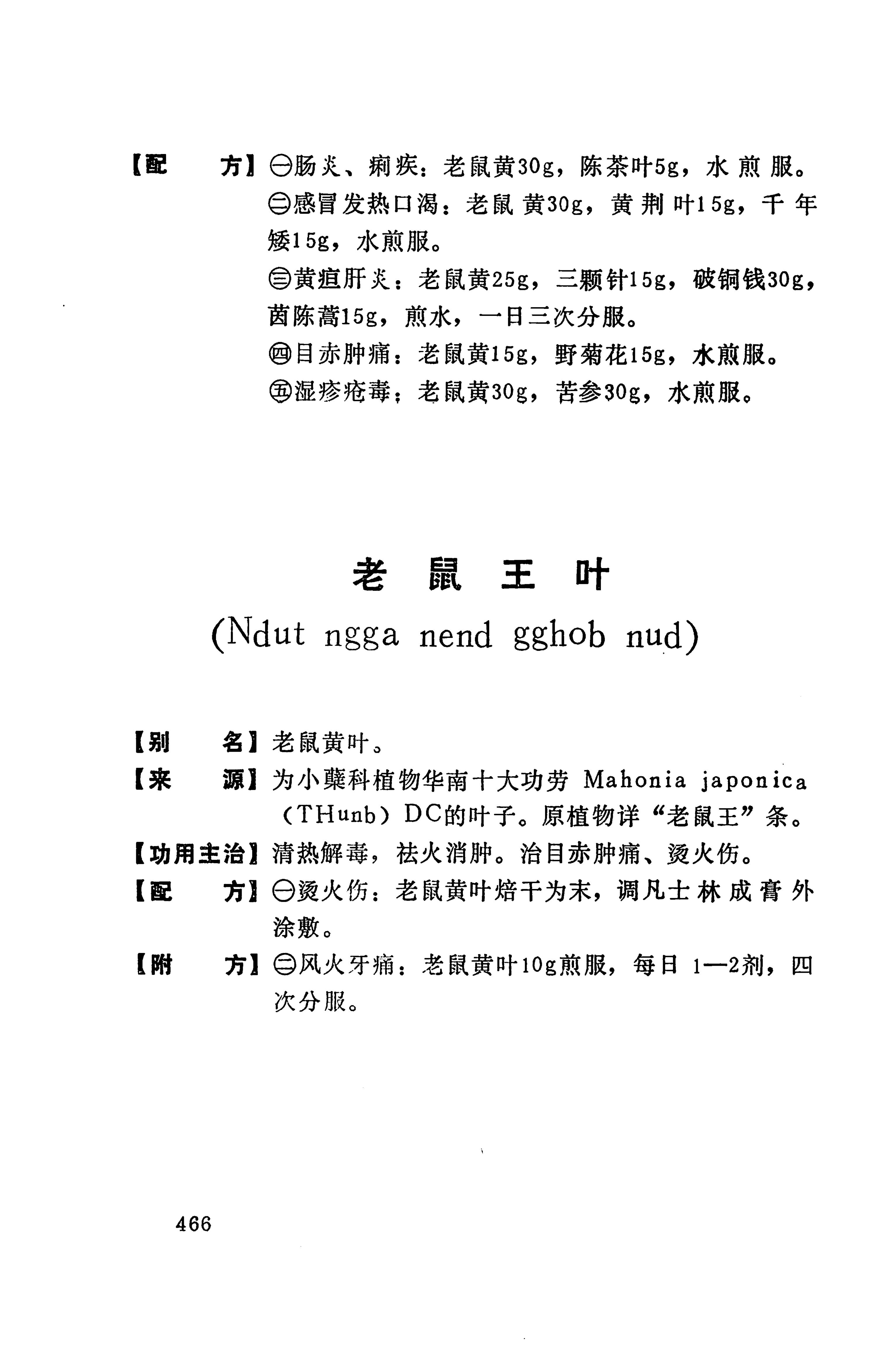 湘西苗药汇编_484.jpg