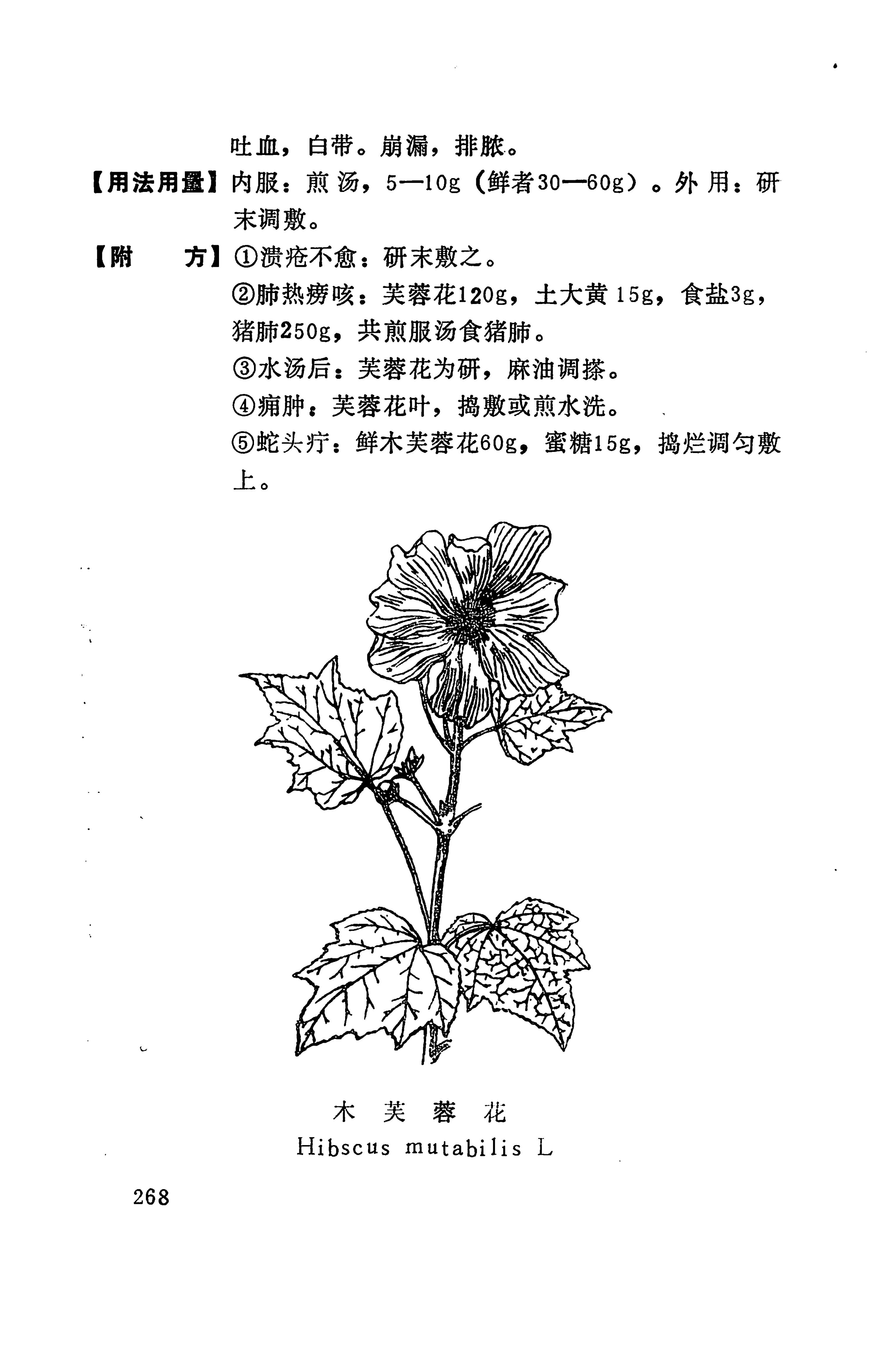 湘西苗药汇编_243.jpg