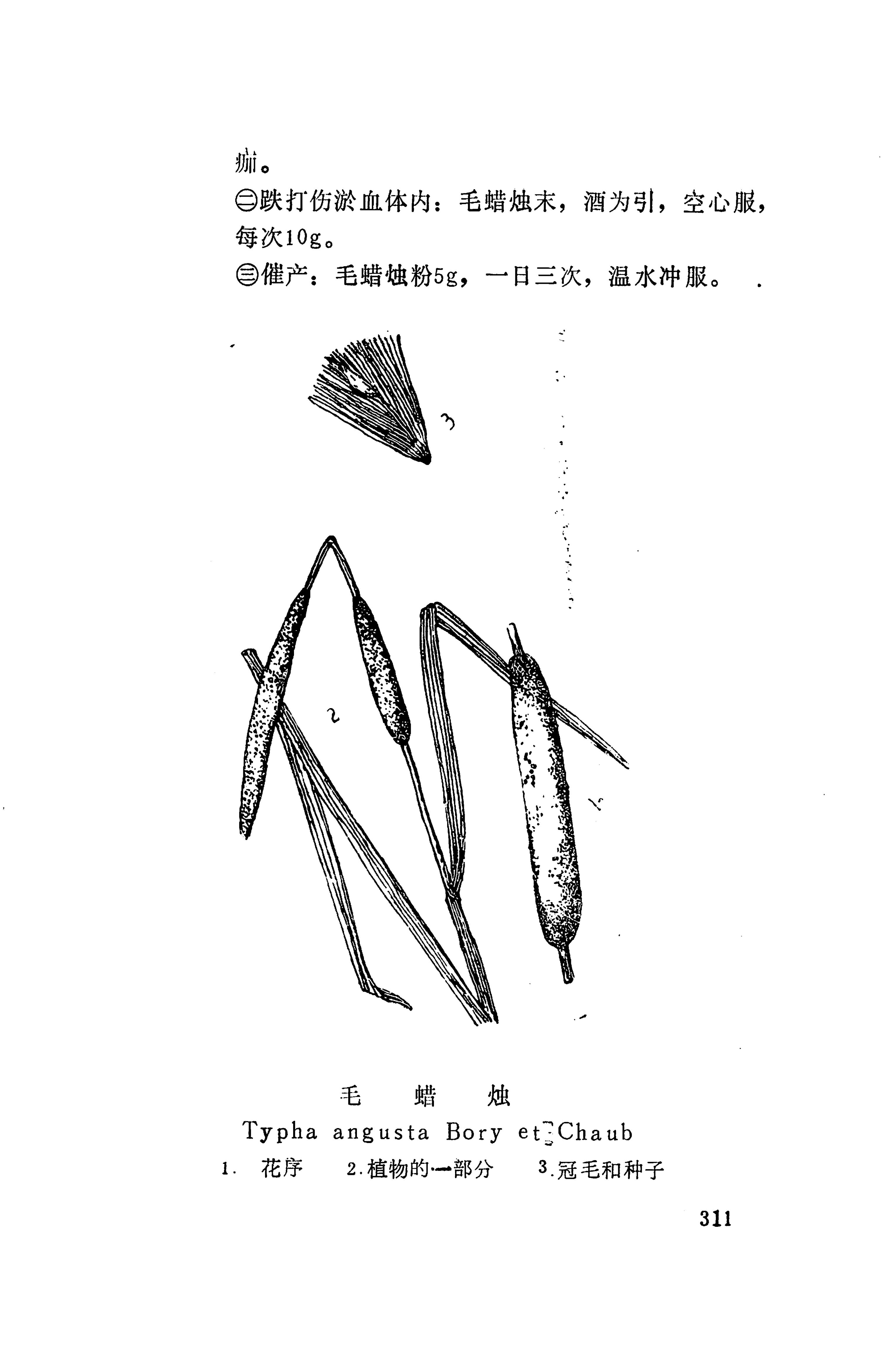 湘西苗药汇编_200.jpg