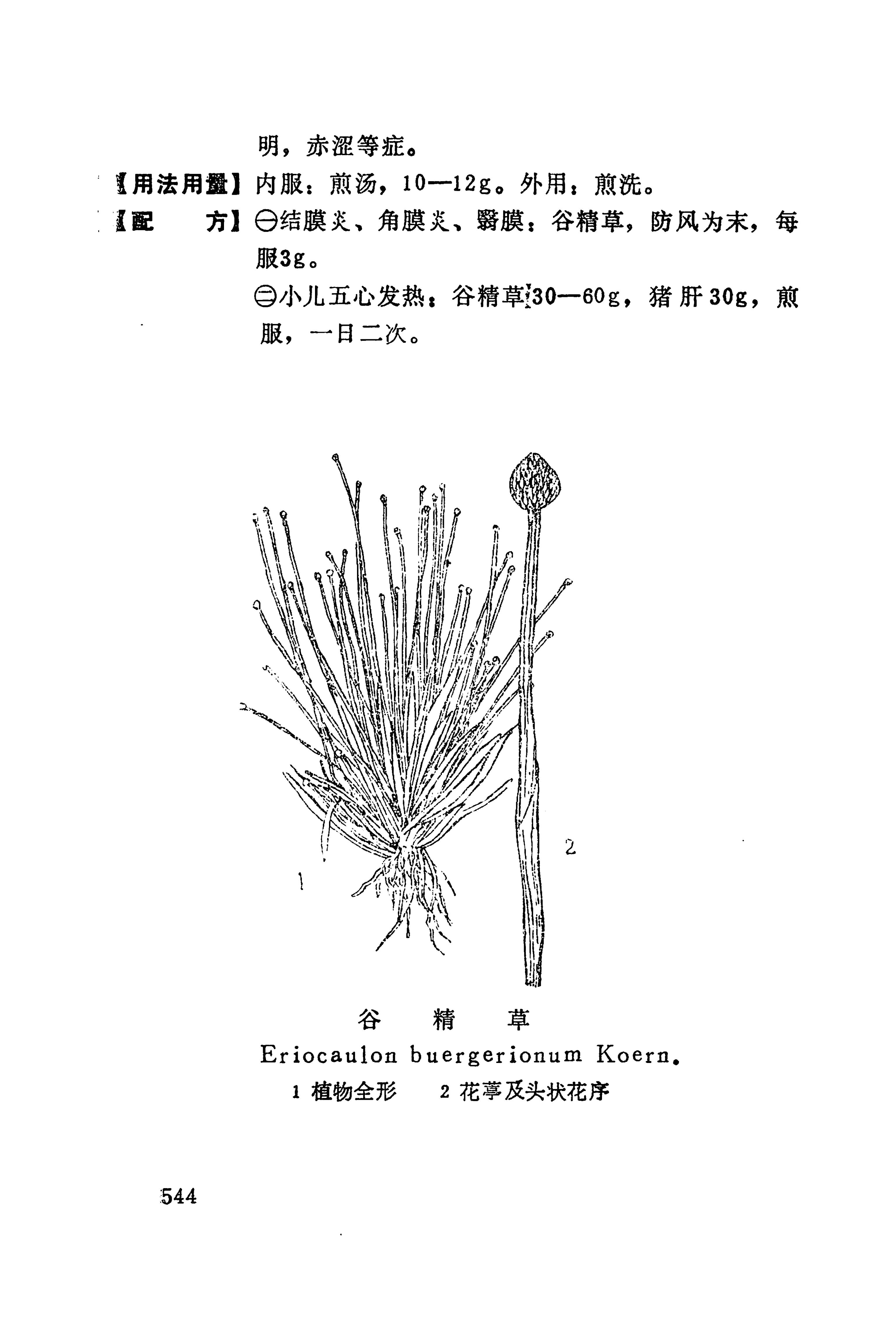 湘西苗药汇编_562.jpg