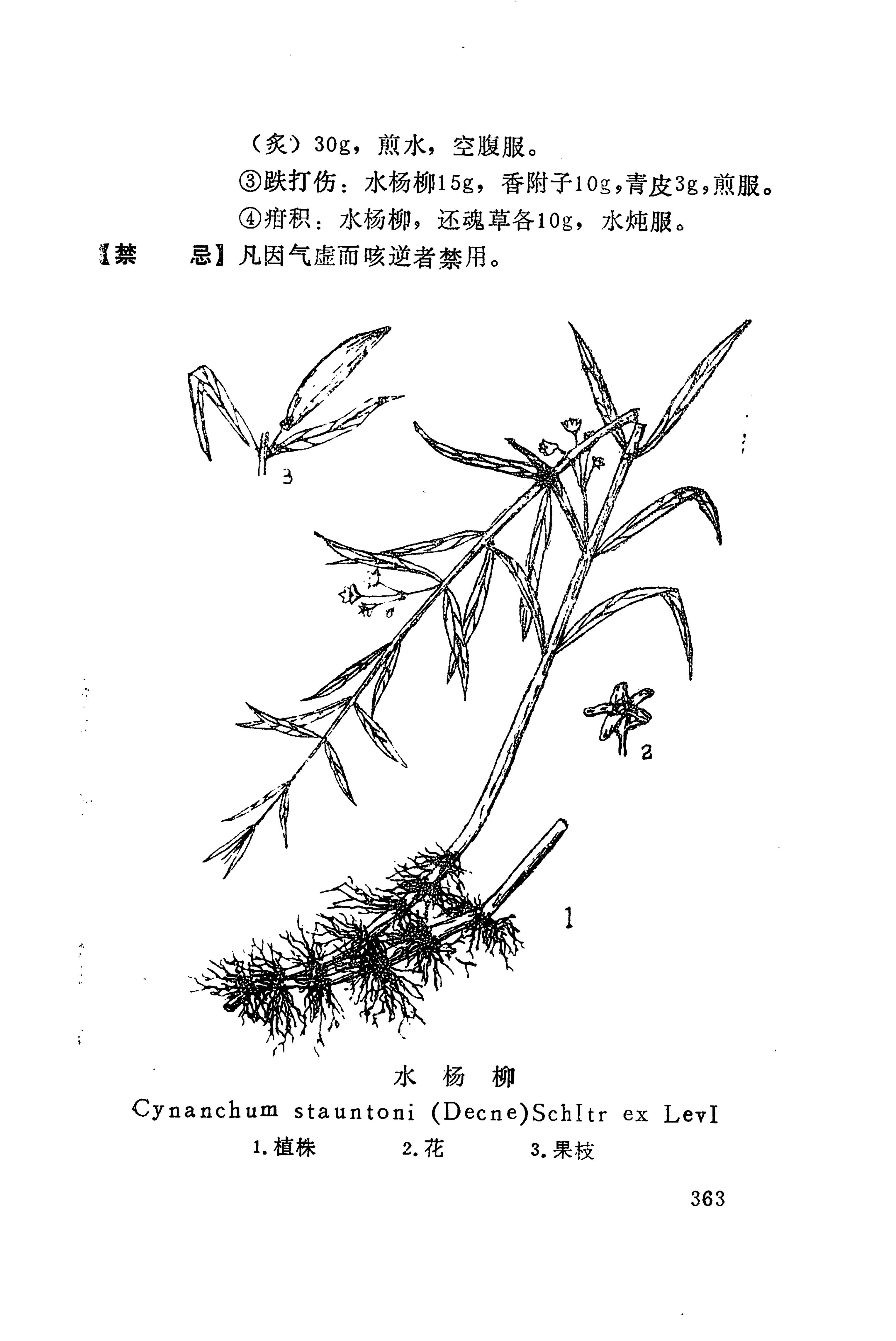 湘西苗药汇编_381.jpg