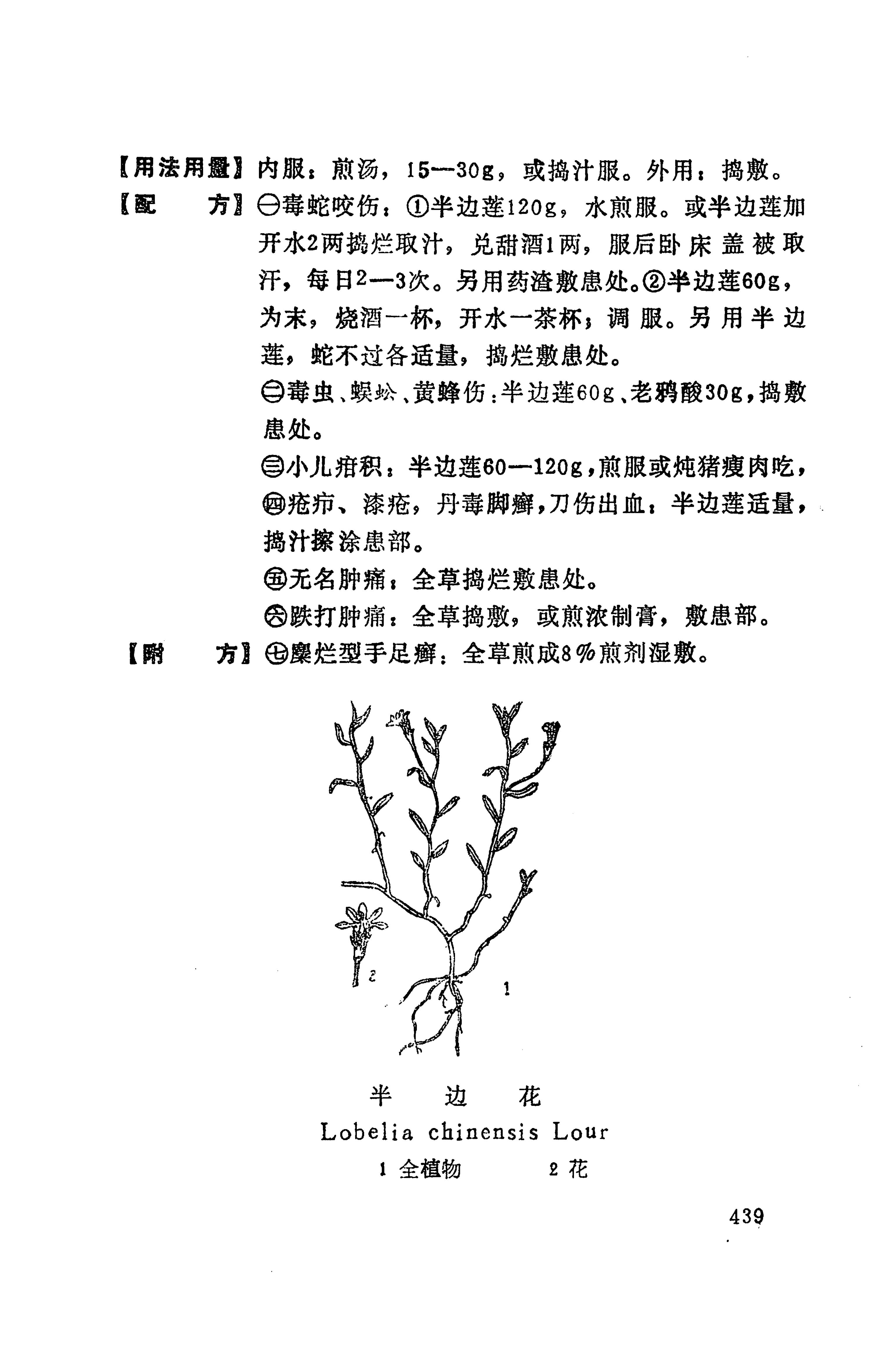 湘西苗药汇编_457.jpg