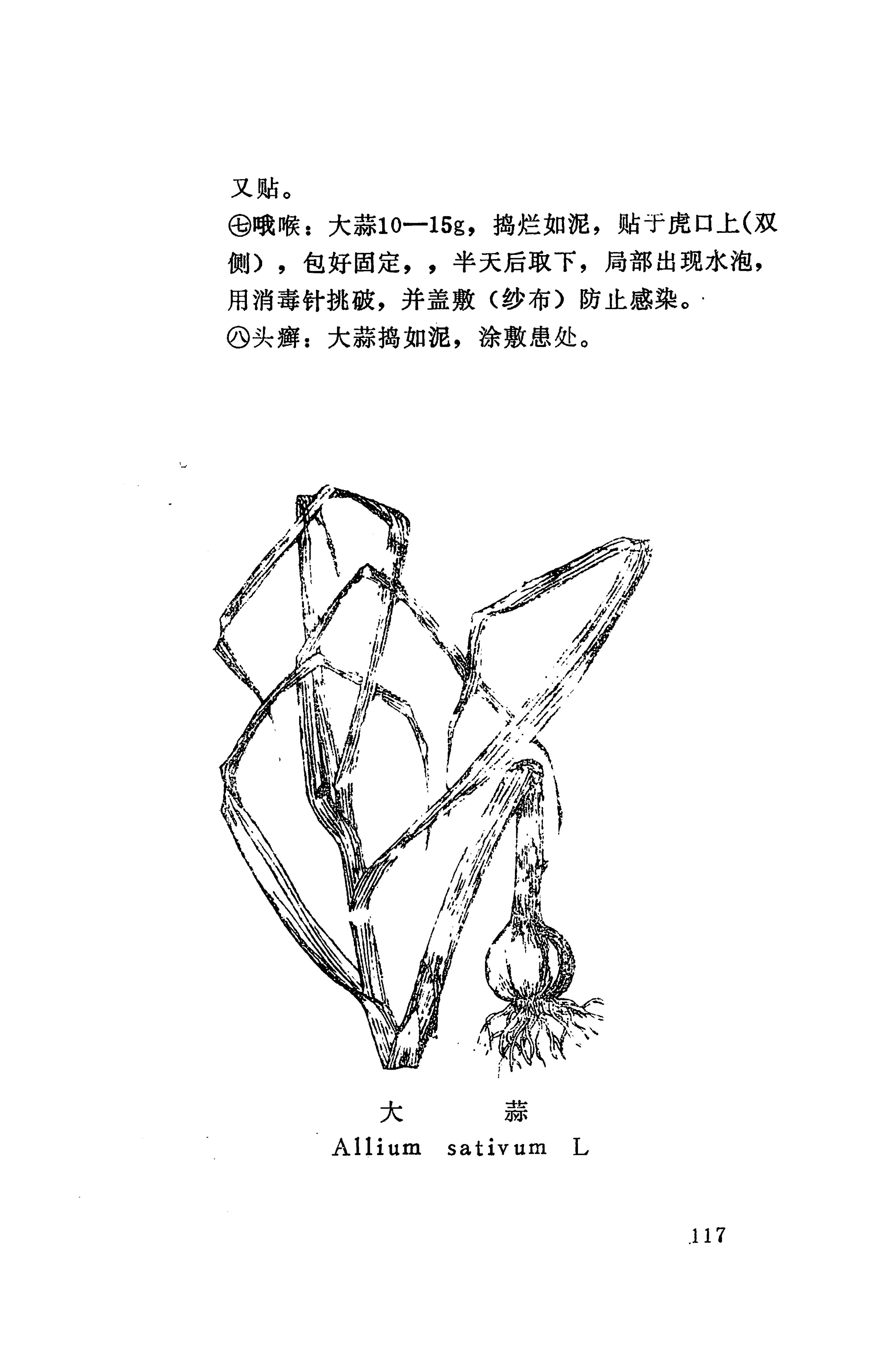 湘西苗药汇编_135.jpg