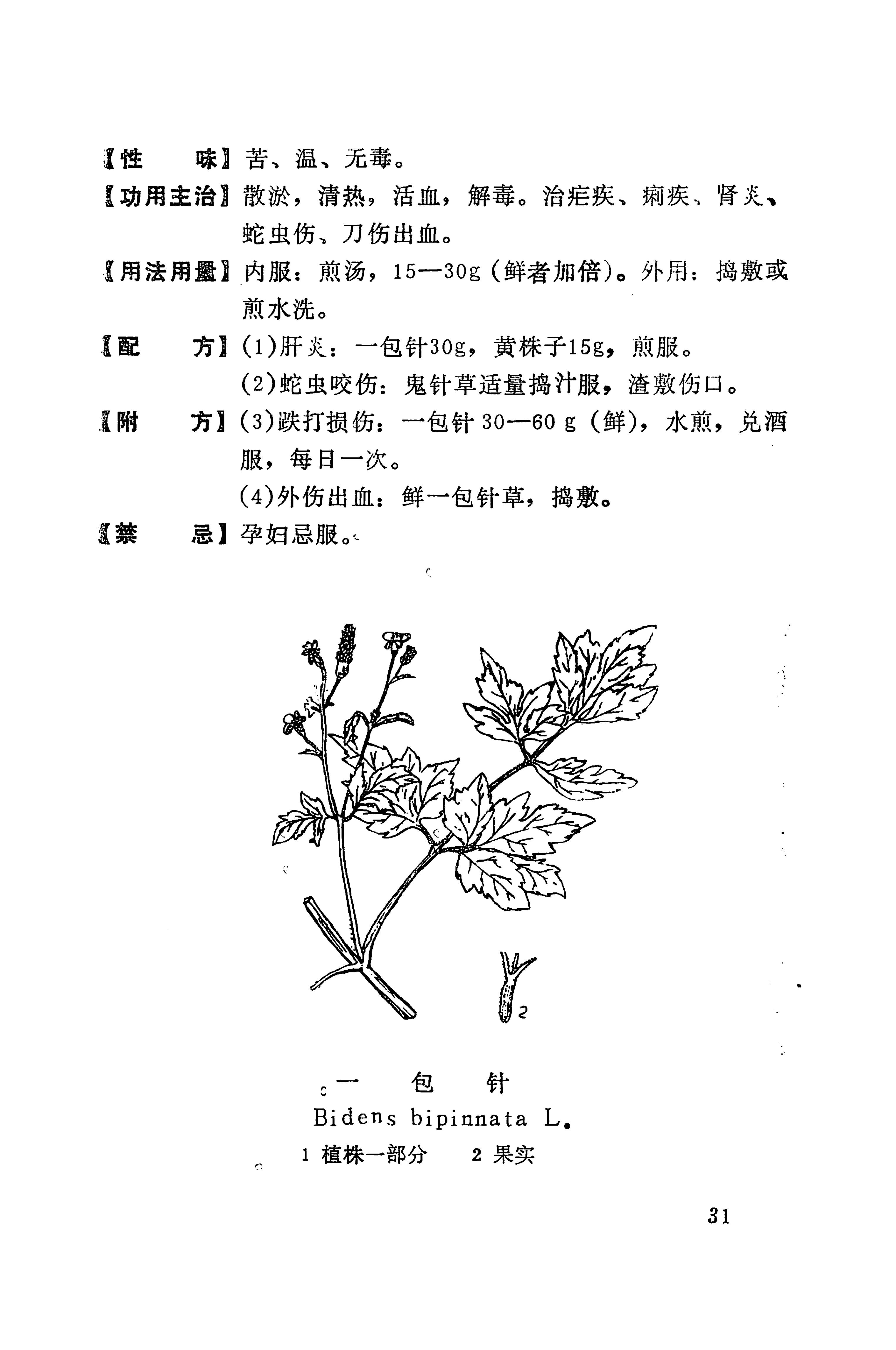 湘西苗药汇编_49.jpg