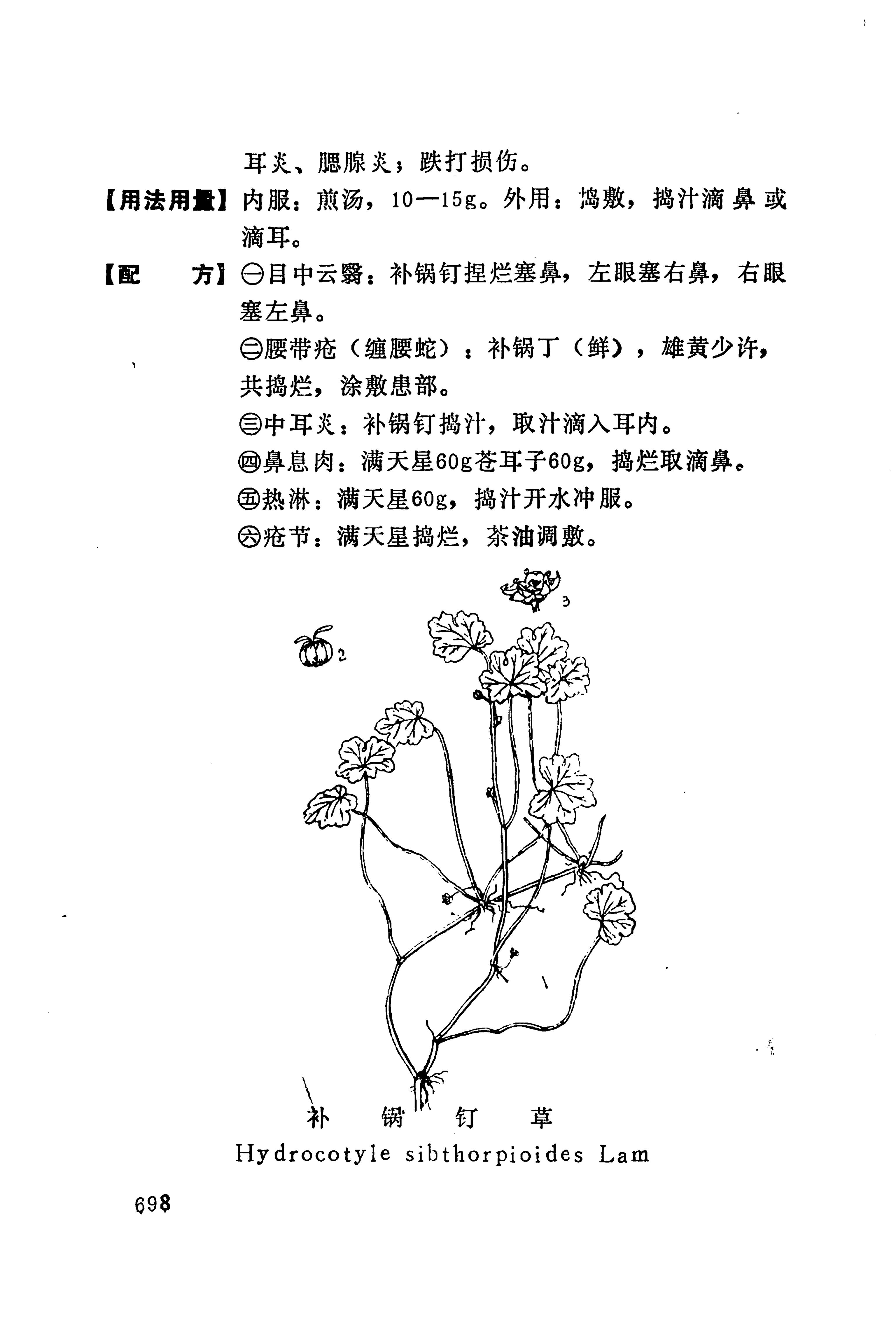 湘西苗药汇编_716.jpg