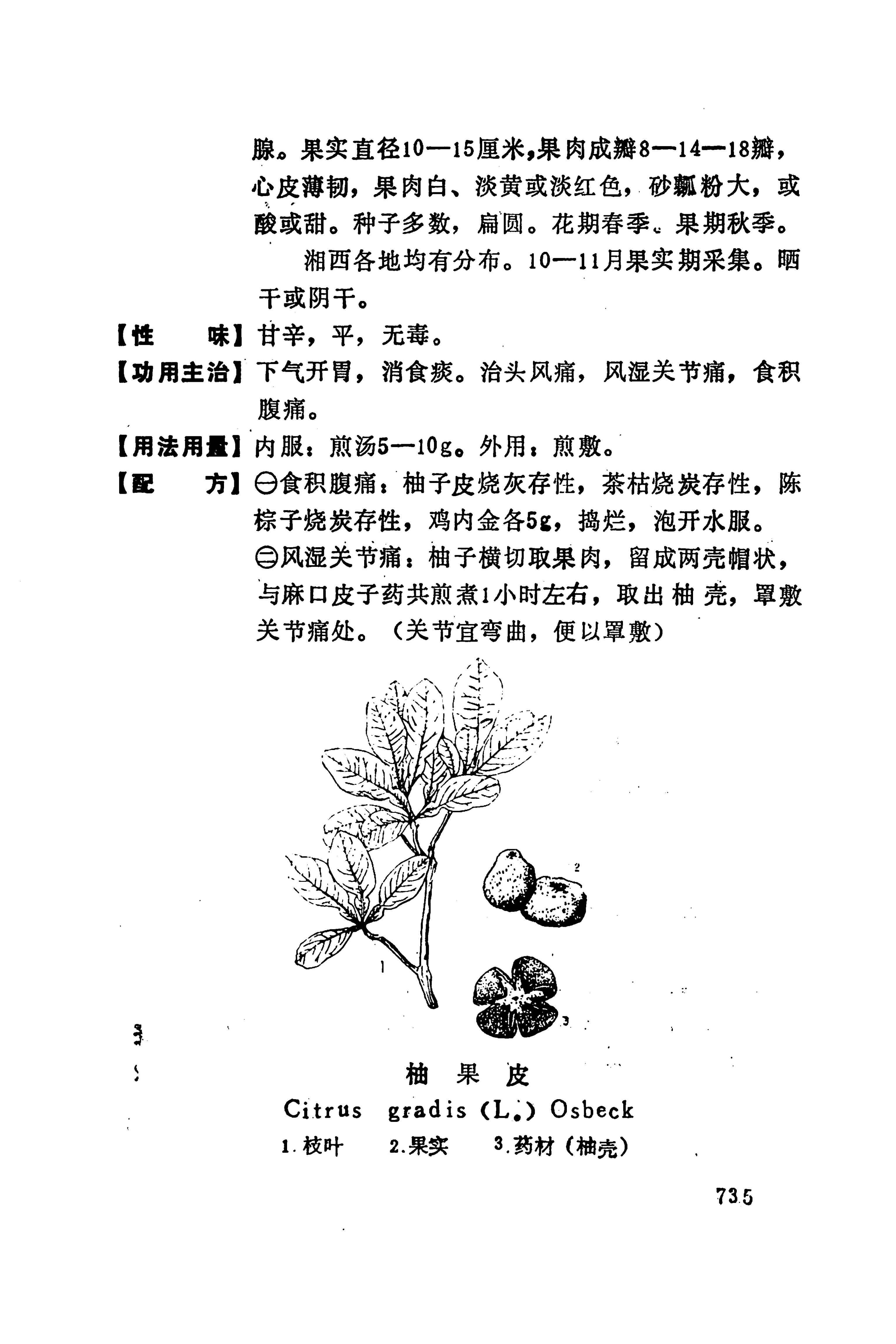 湘西苗药汇编_753.jpg