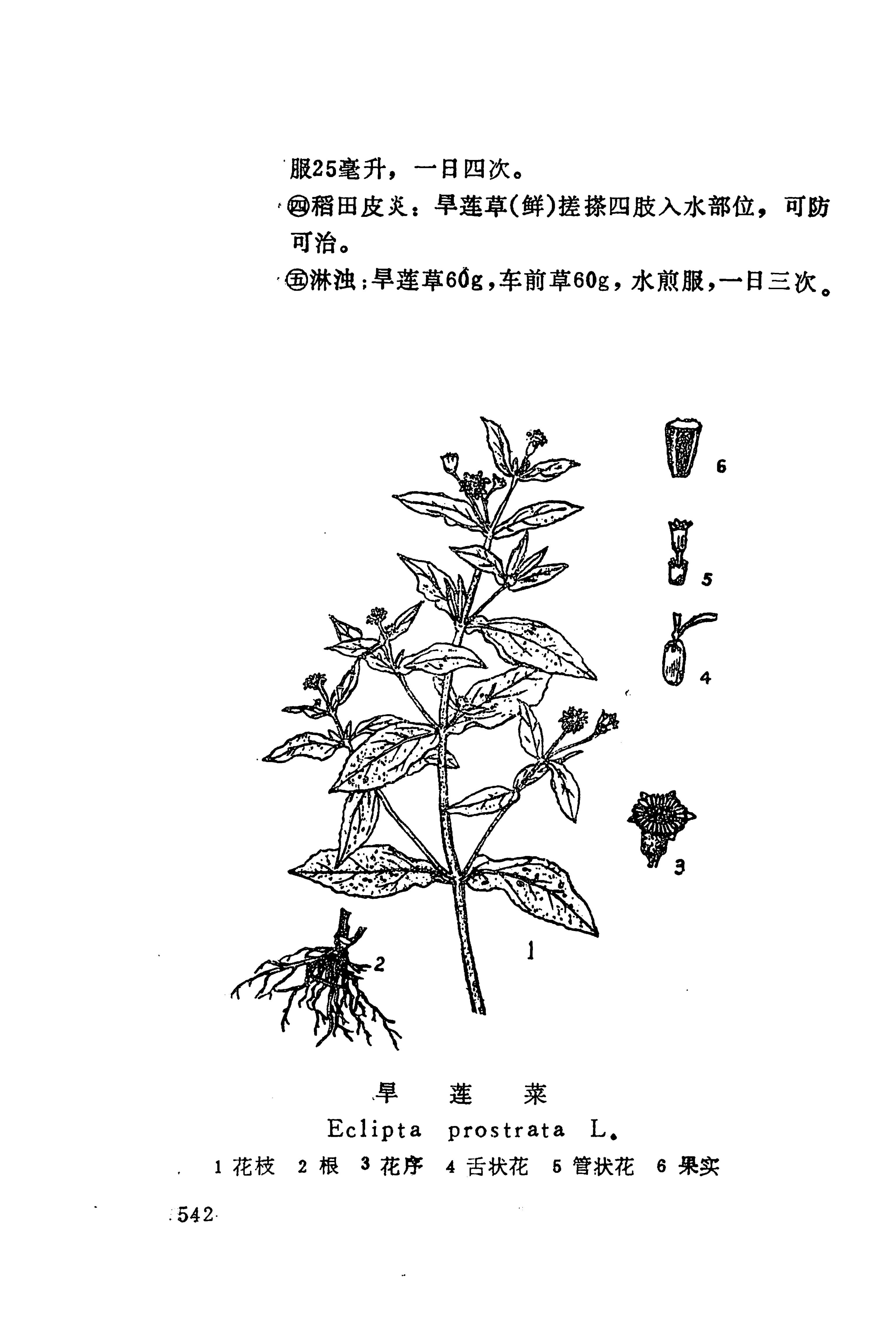 湘西苗药汇编_560.jpg