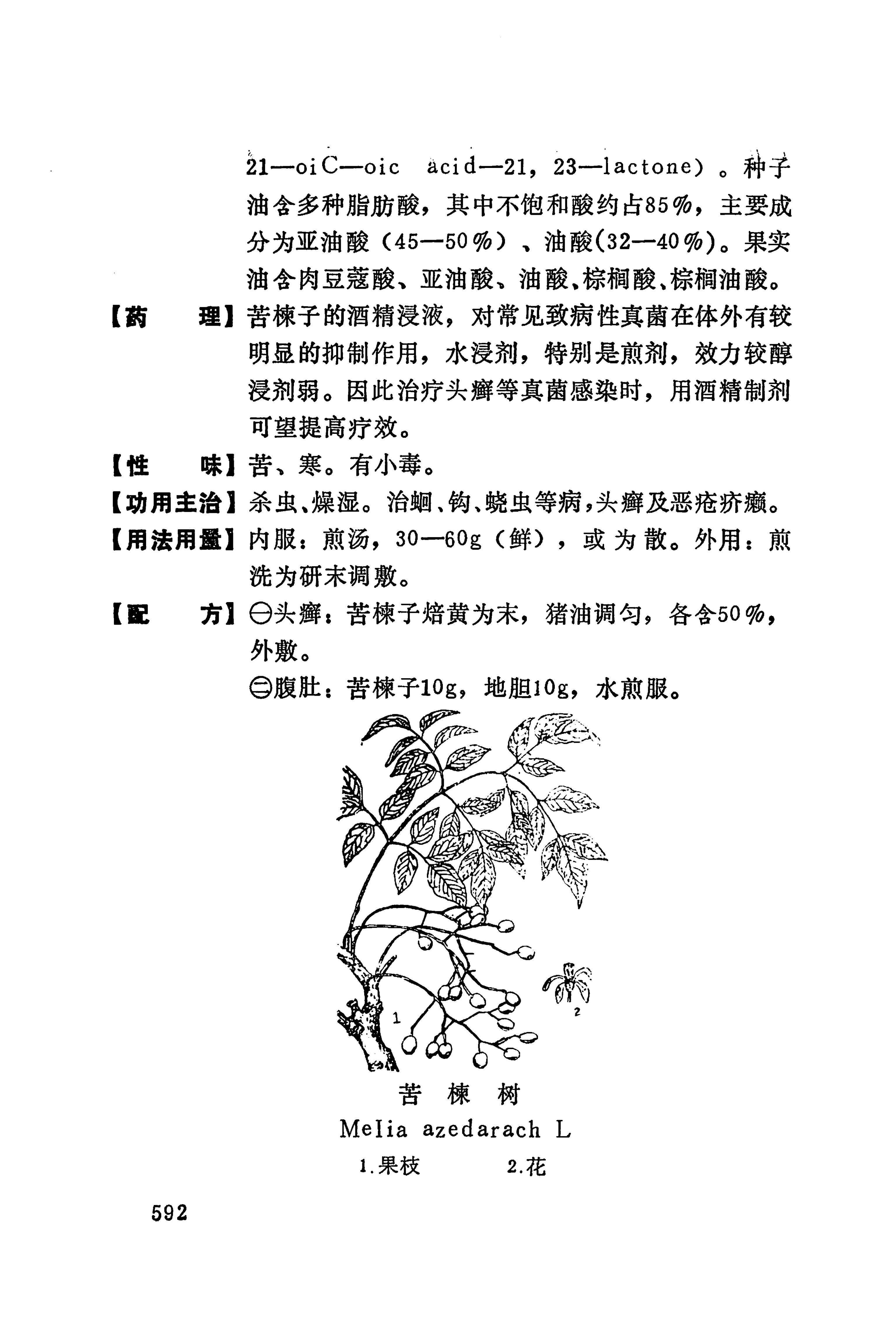 湘西苗药汇编_610.jpg