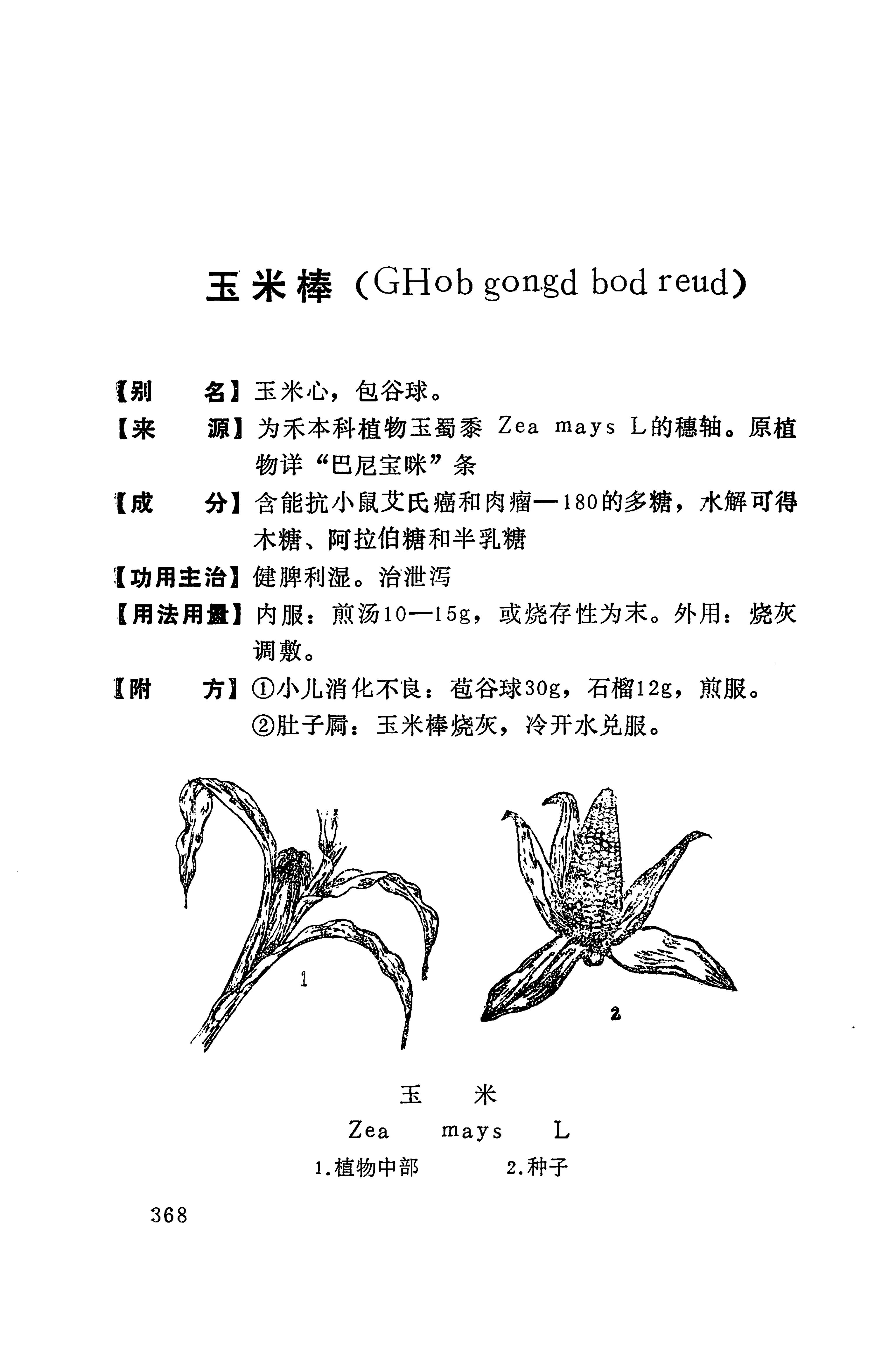 湘西苗药汇编_386.jpg