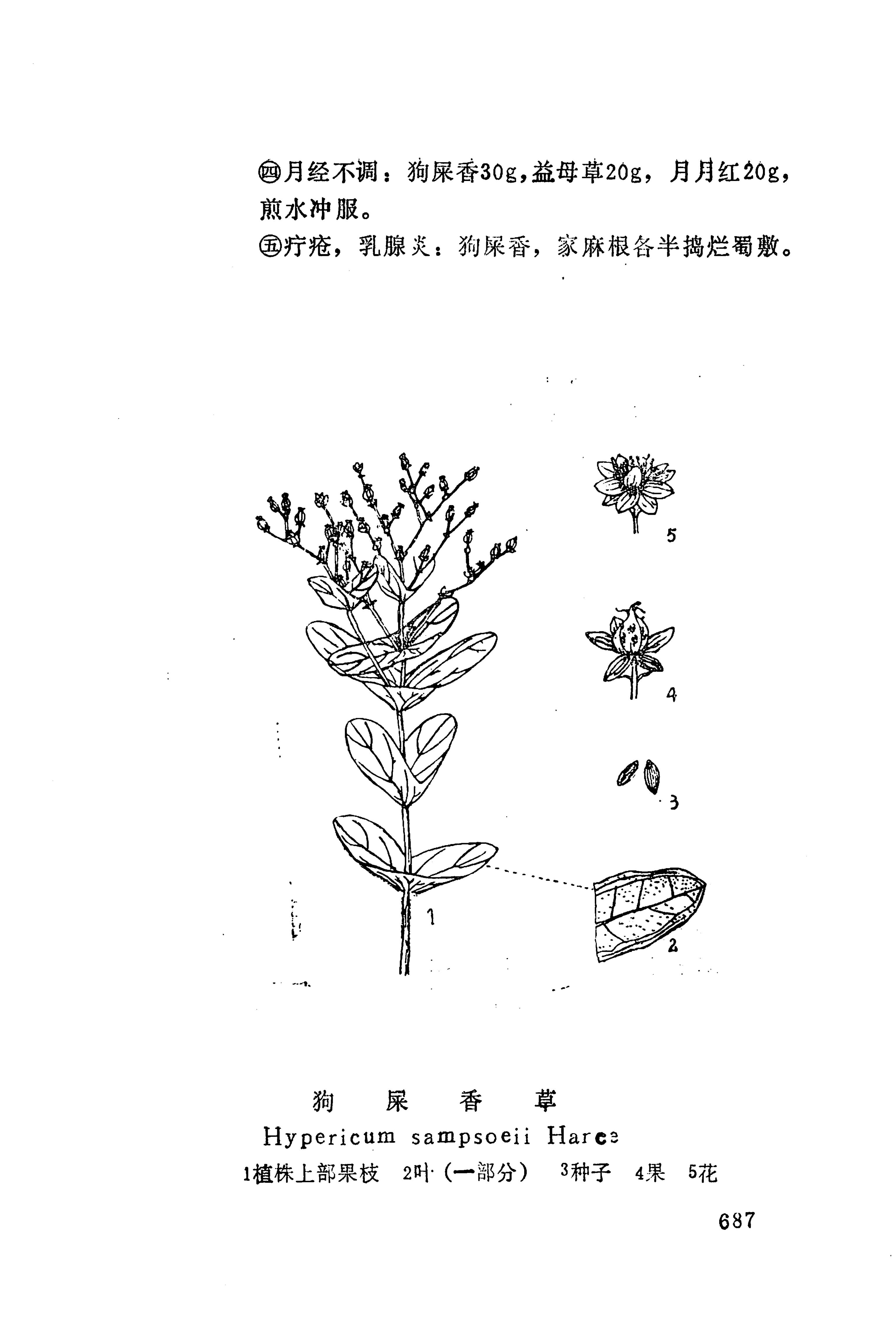 湘西苗药汇编_705.jpg