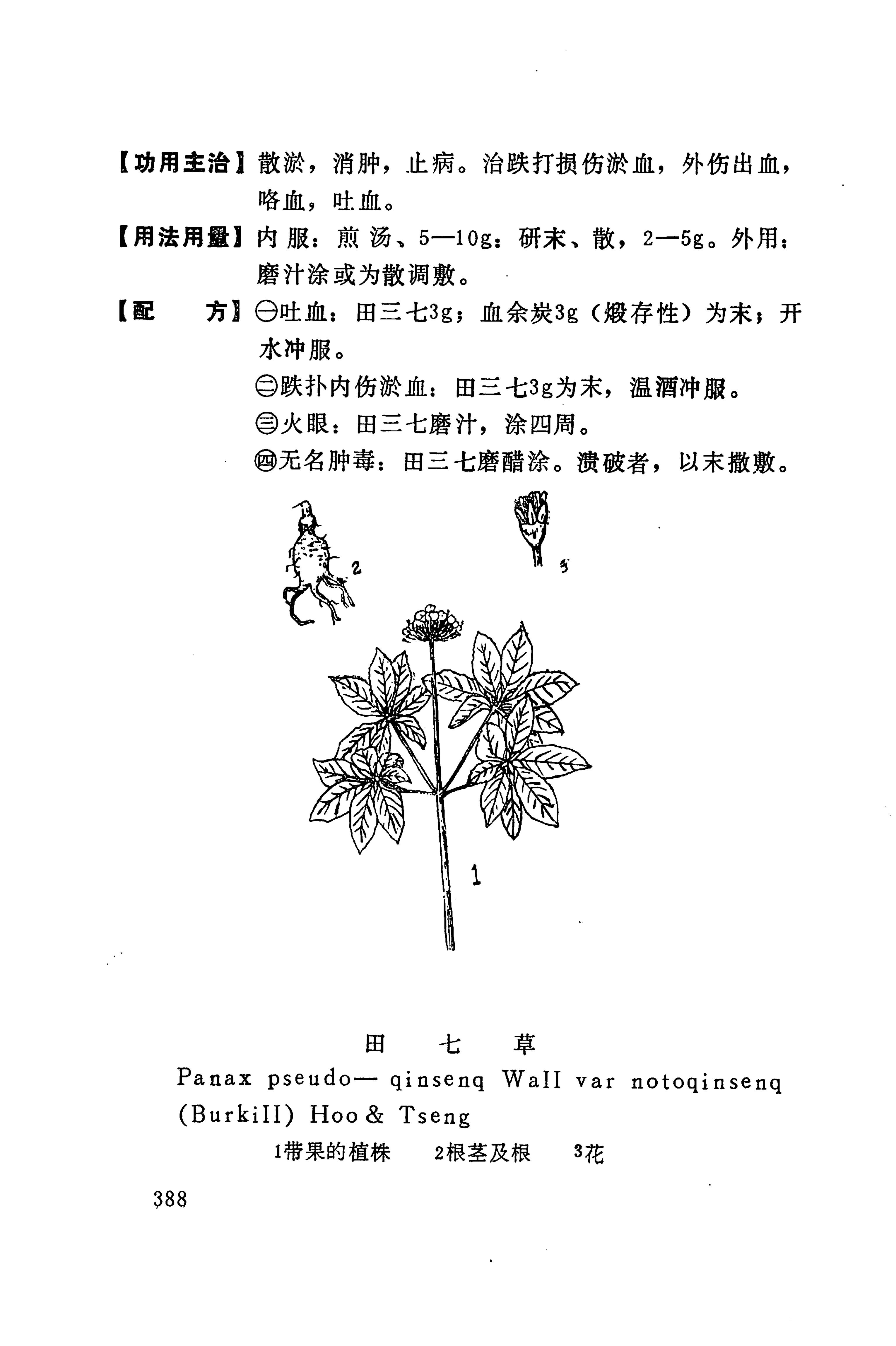 湘西苗药汇编_406.jpg
