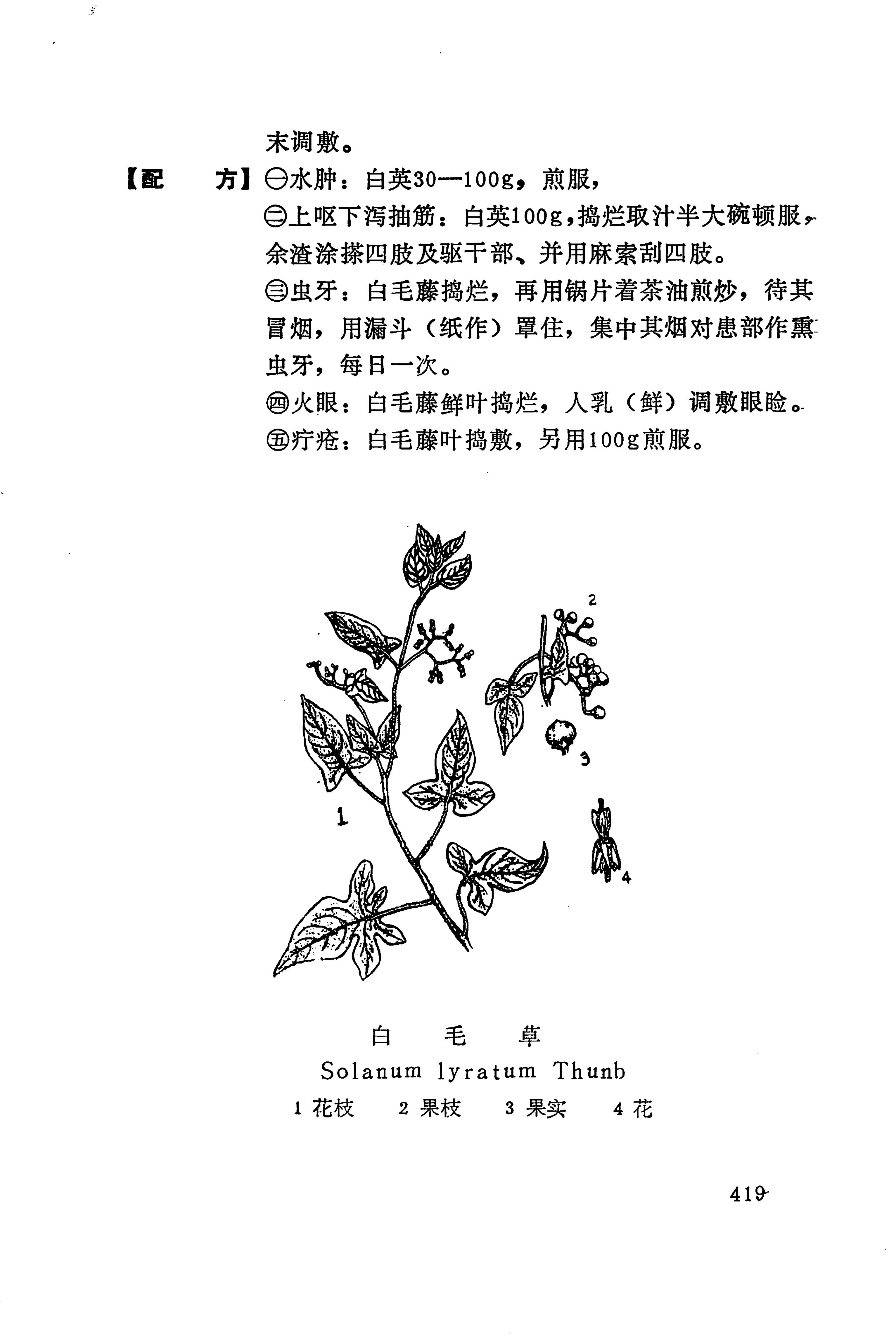 湘西苗药汇编_437.jpg