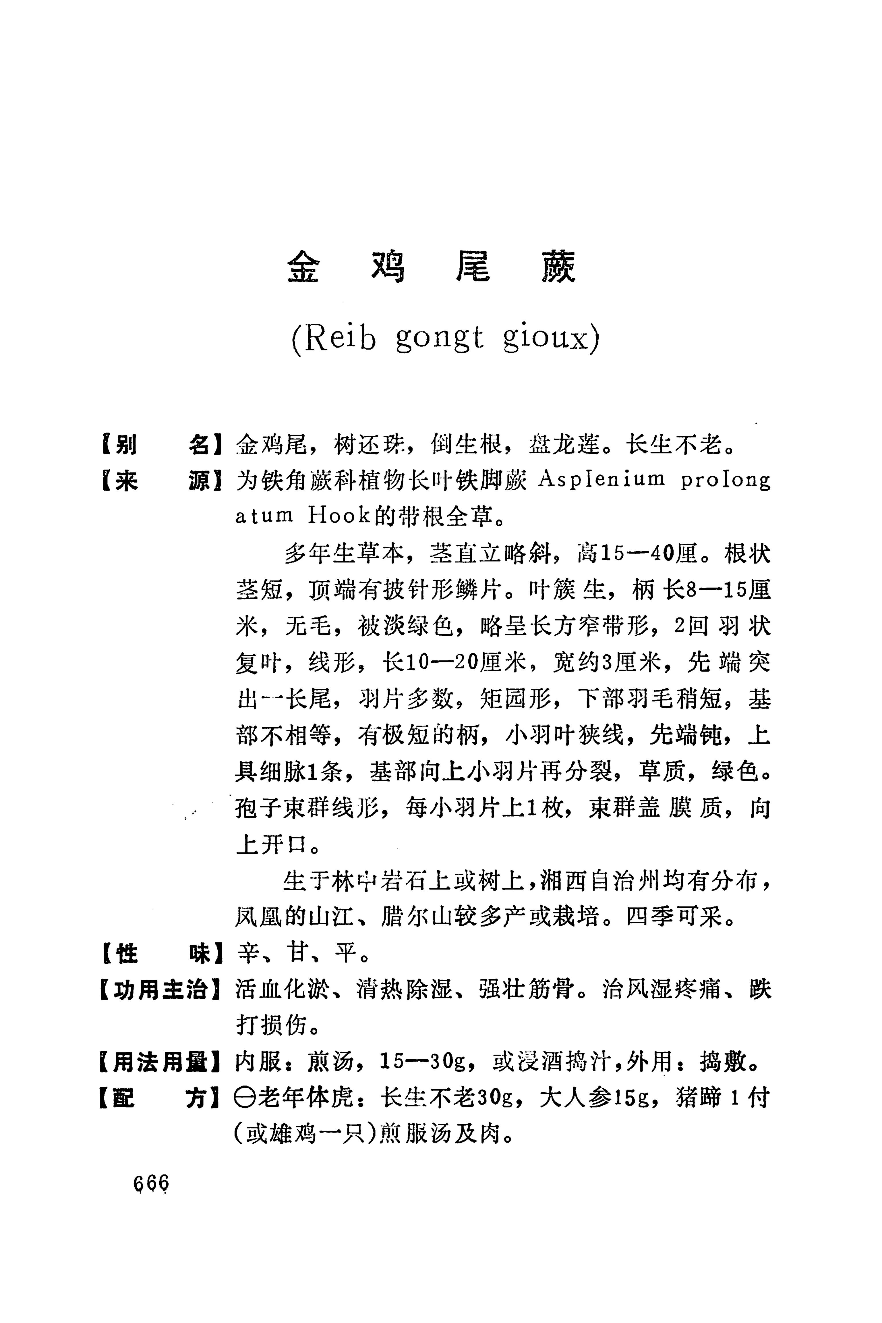 湘西苗药汇编_684.jpg
