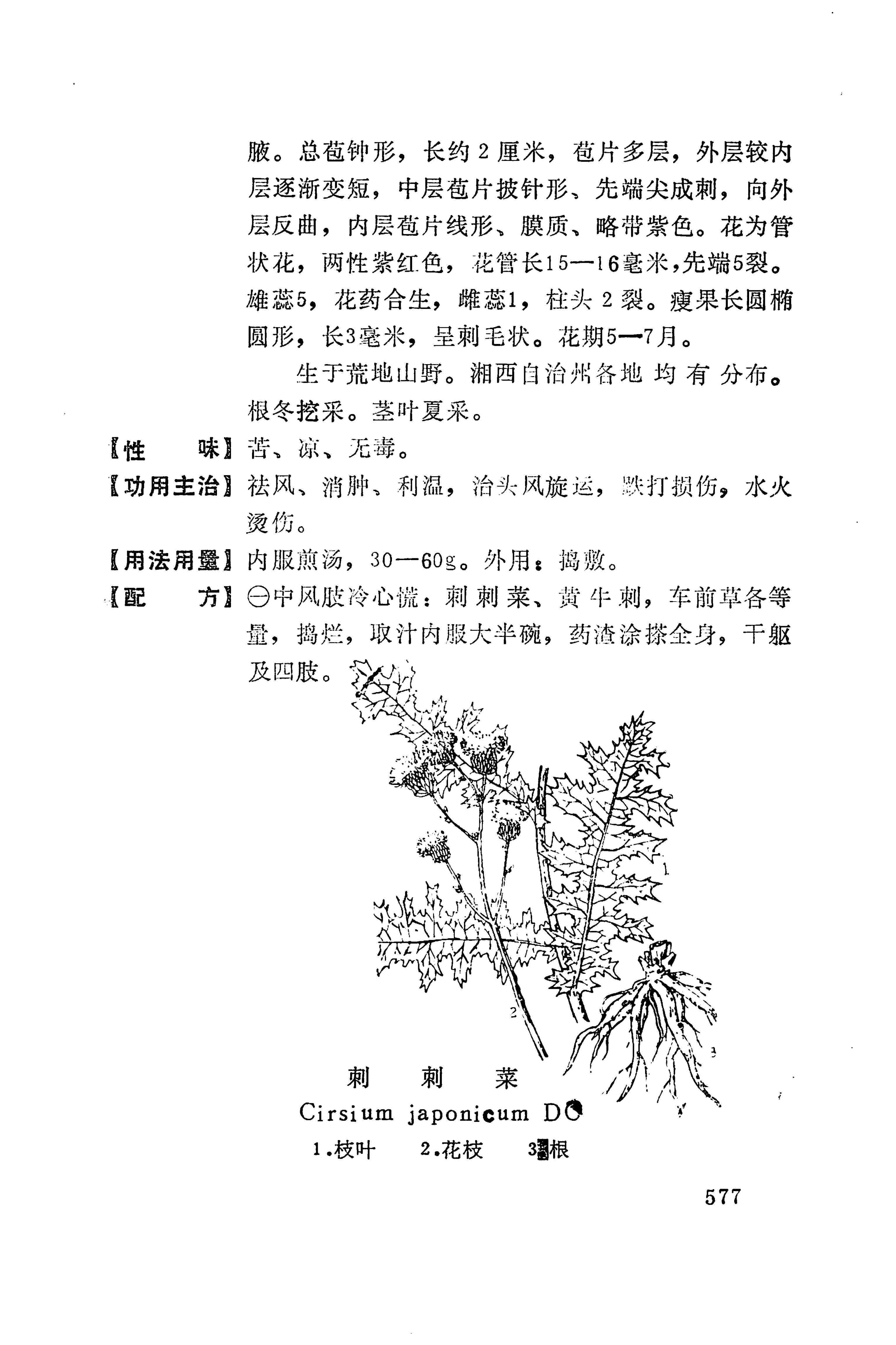 湘西苗药汇编_595.jpg