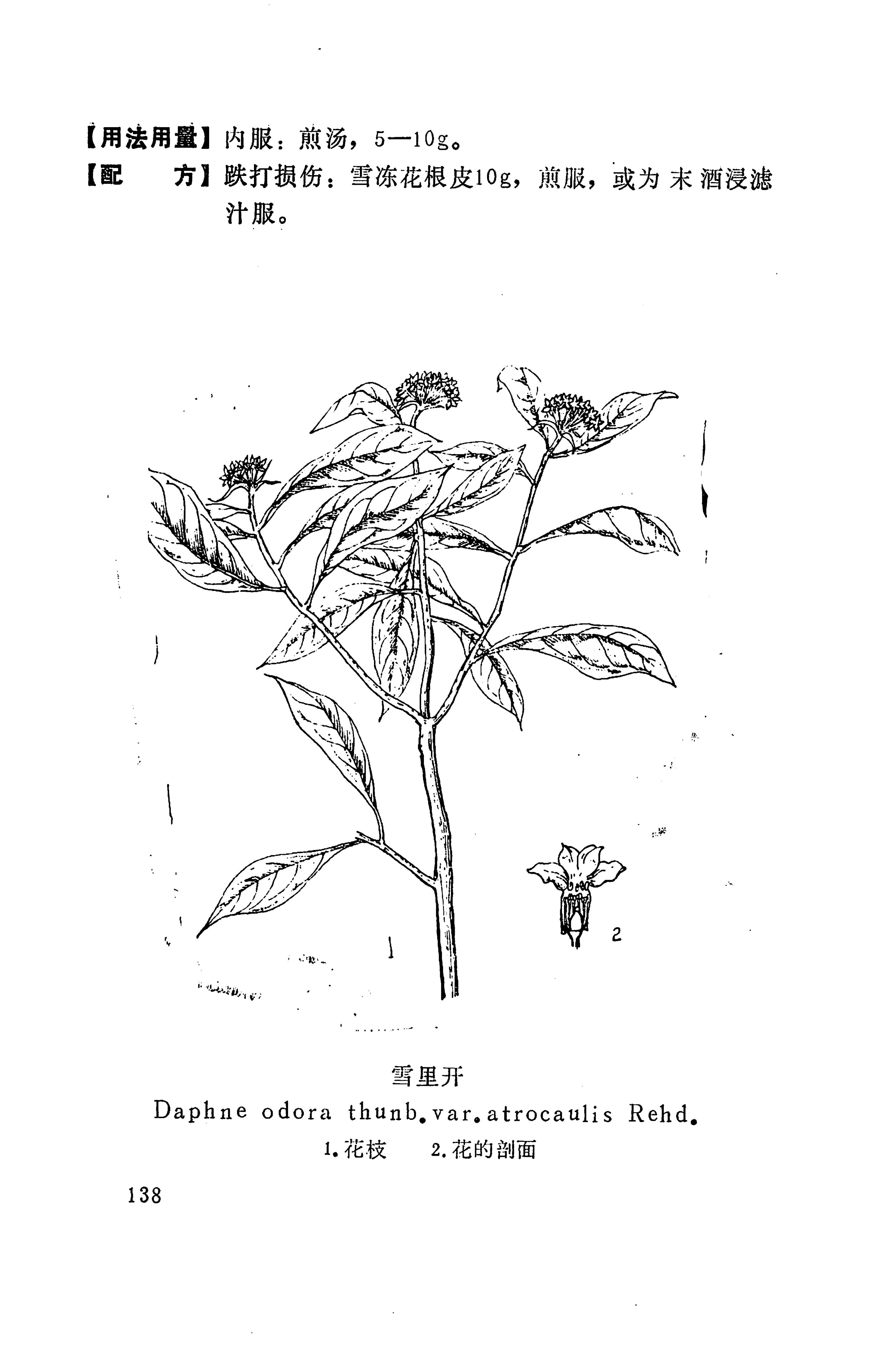 湘西苗药汇编_156.jpg