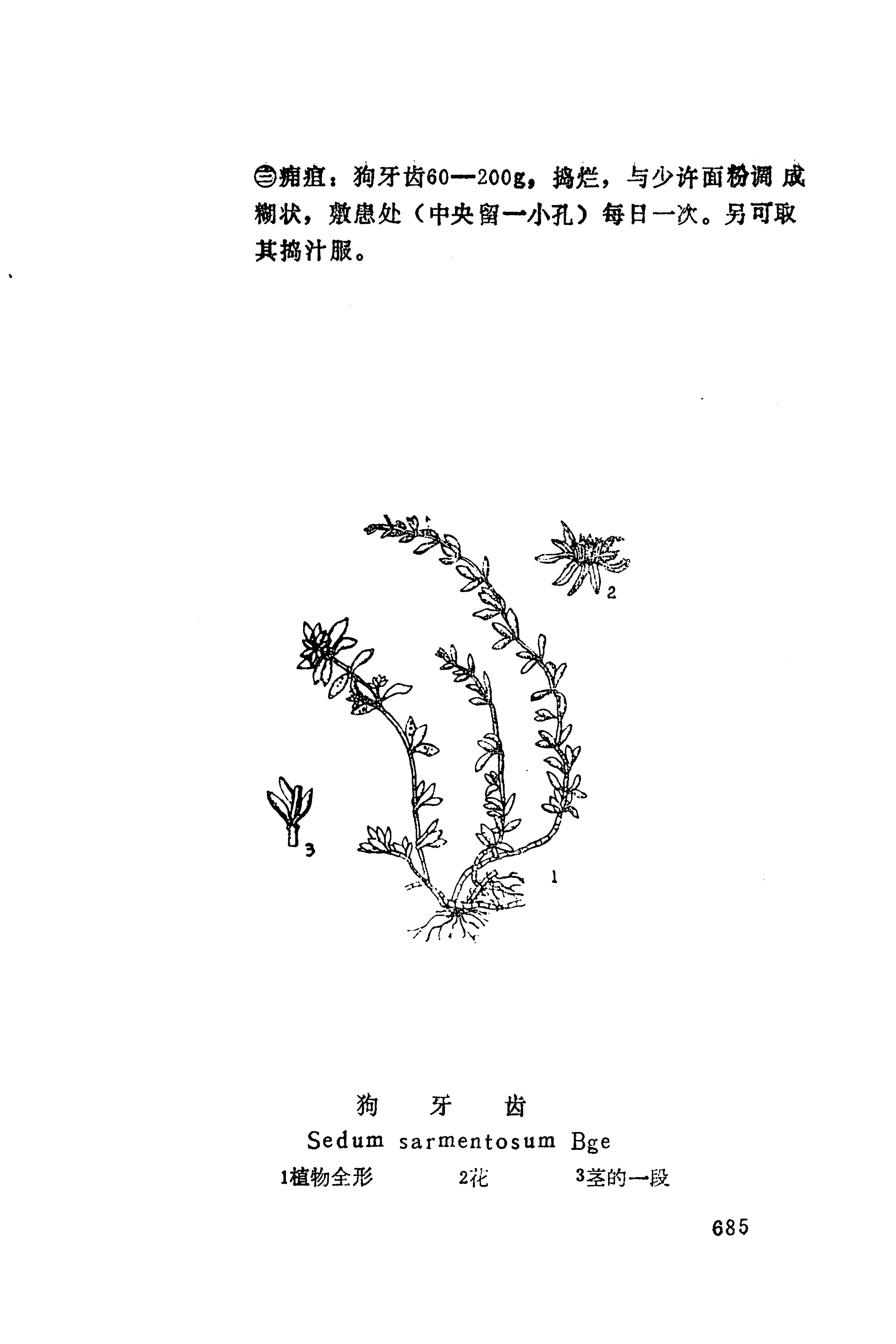 湘西苗药汇编_703.jpg