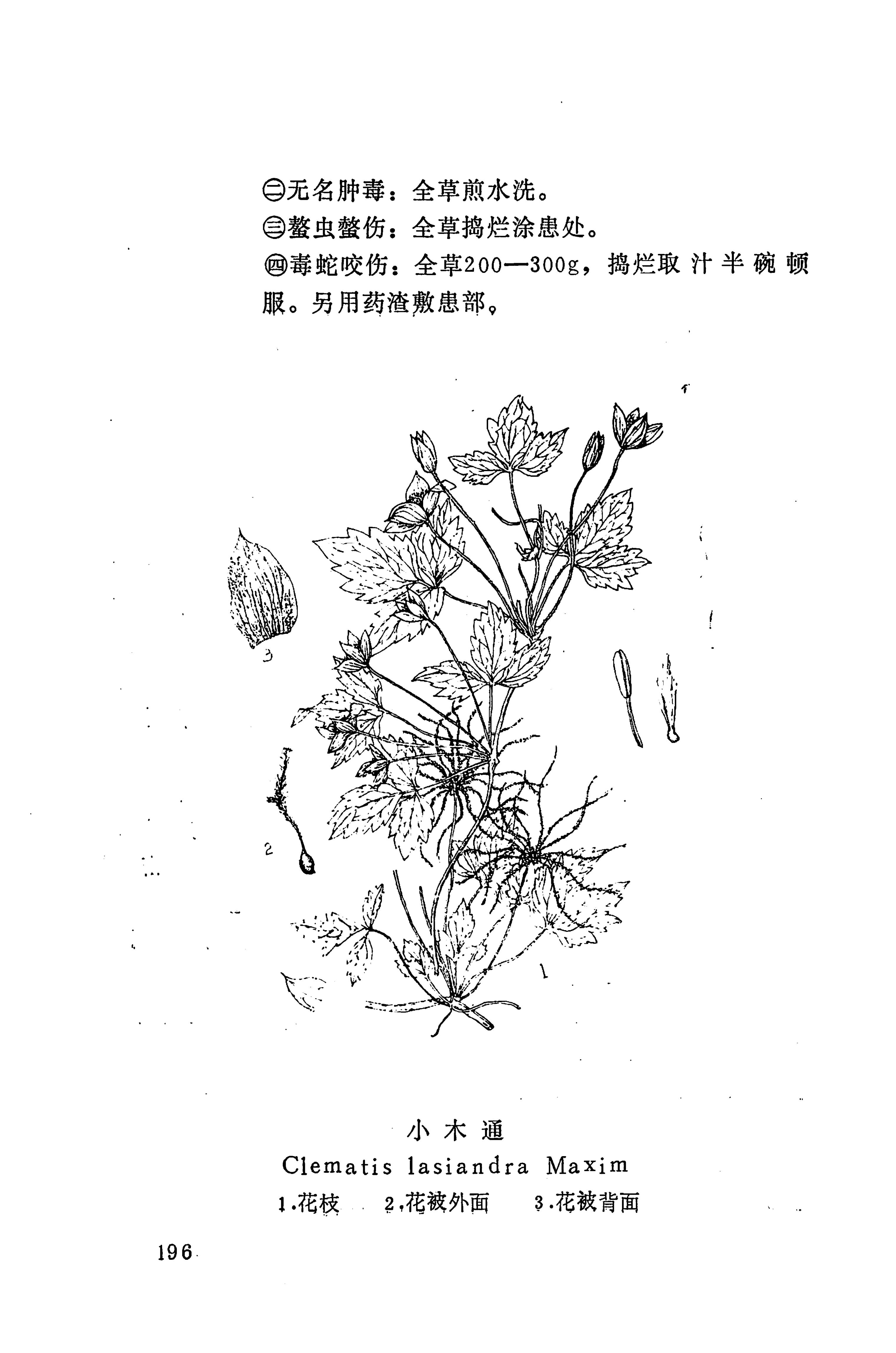 湘西苗药汇编_315.jpg