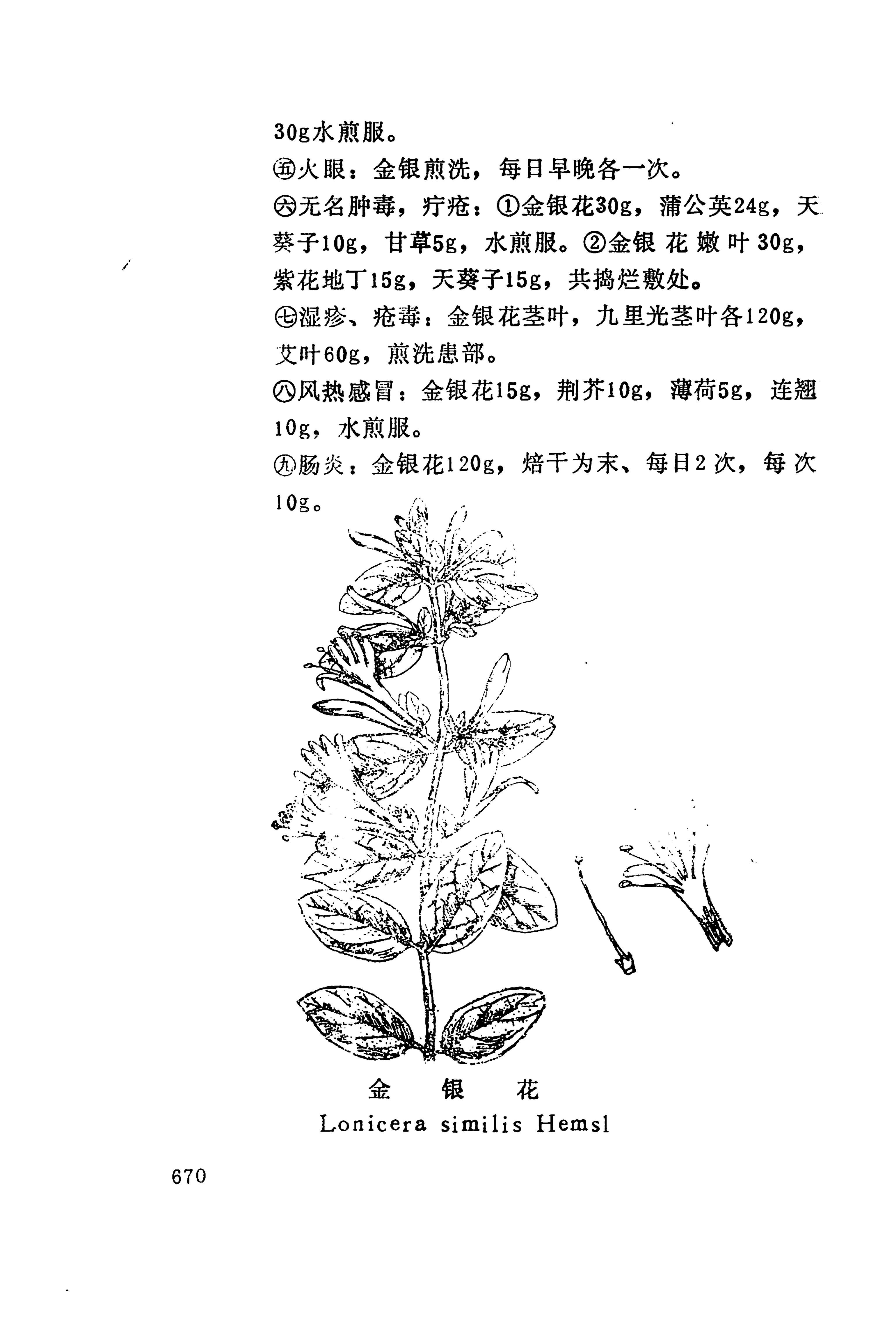 湘西苗药汇编_688.jpg