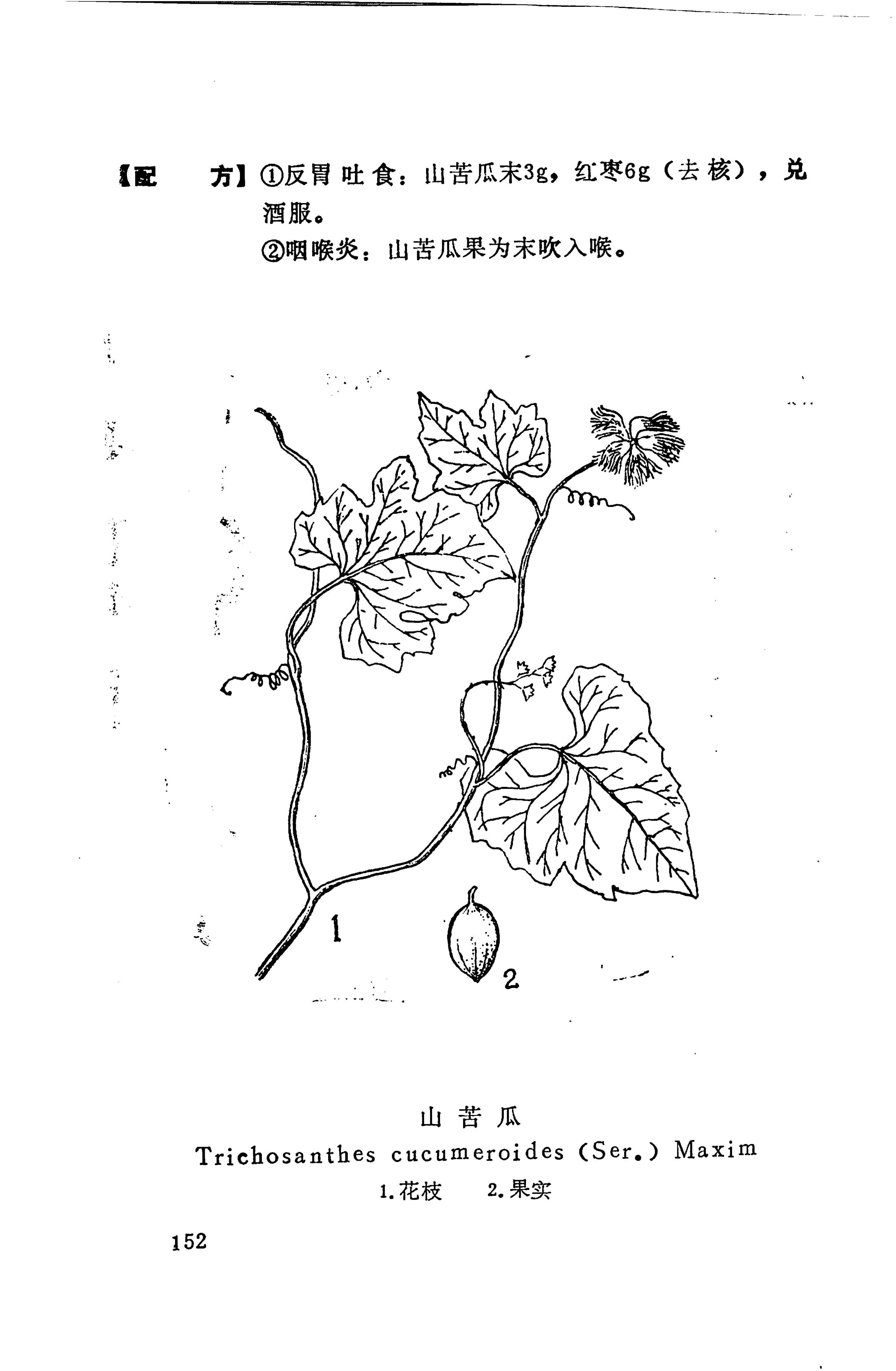 湘西苗药汇编_170.jpg