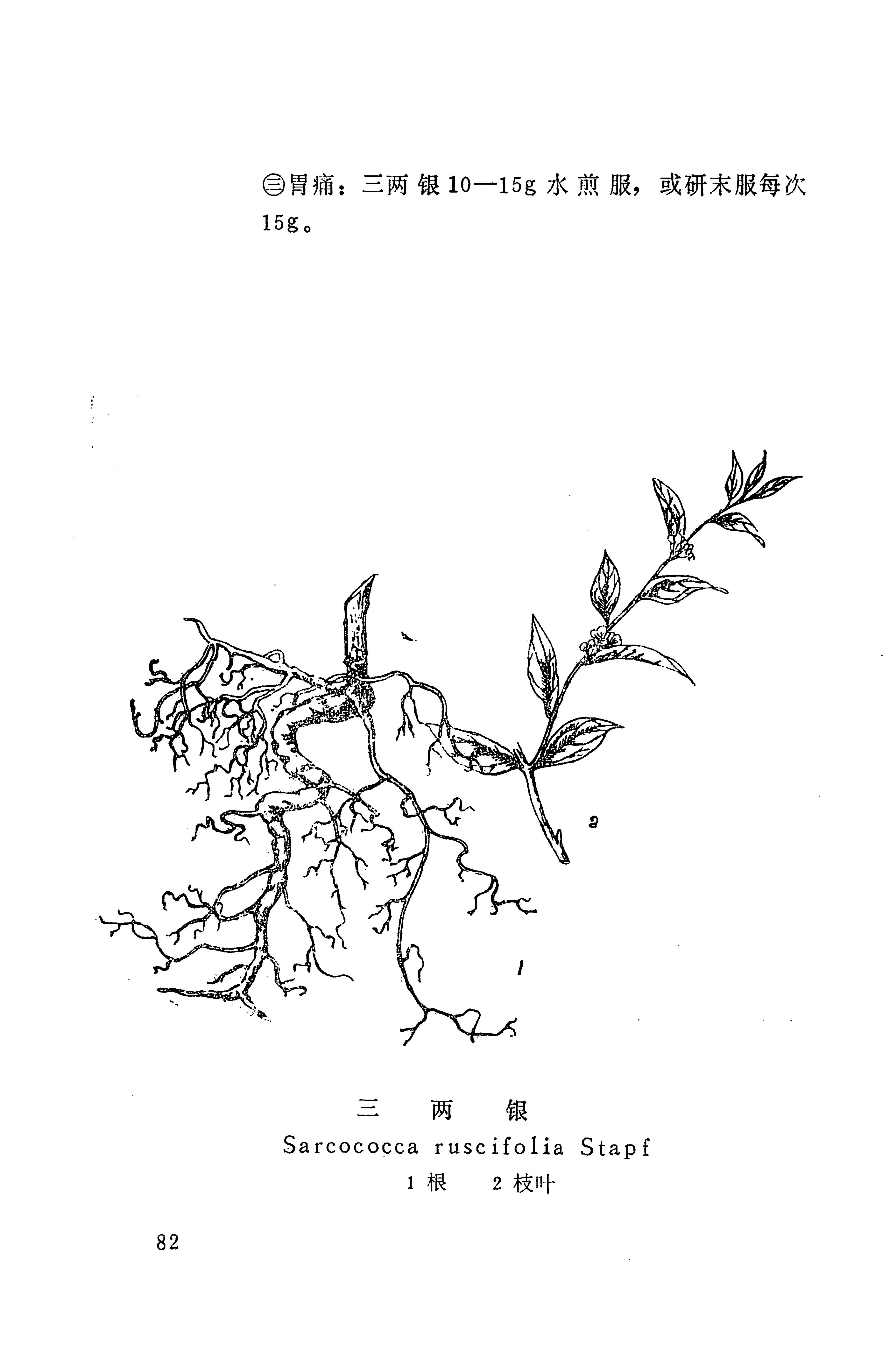 湘西苗药汇编_100.jpg