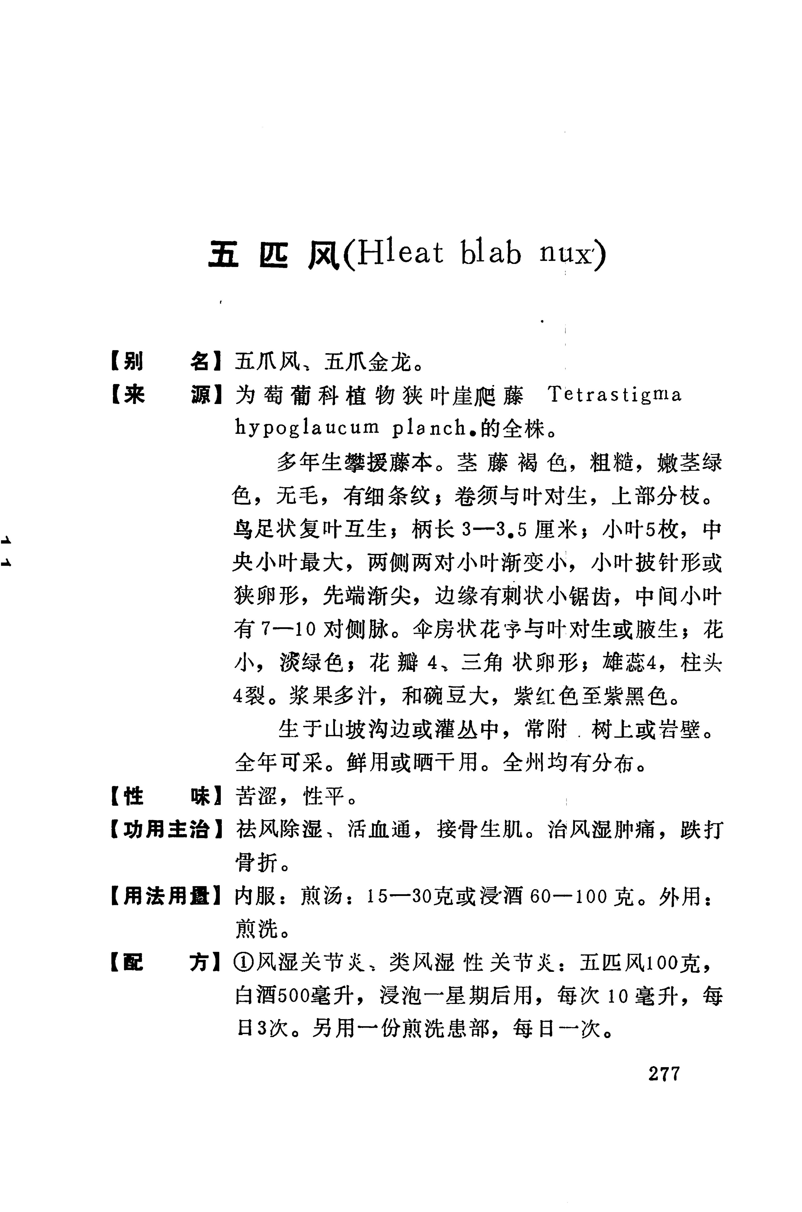 湘西苗药汇编_234.jpg