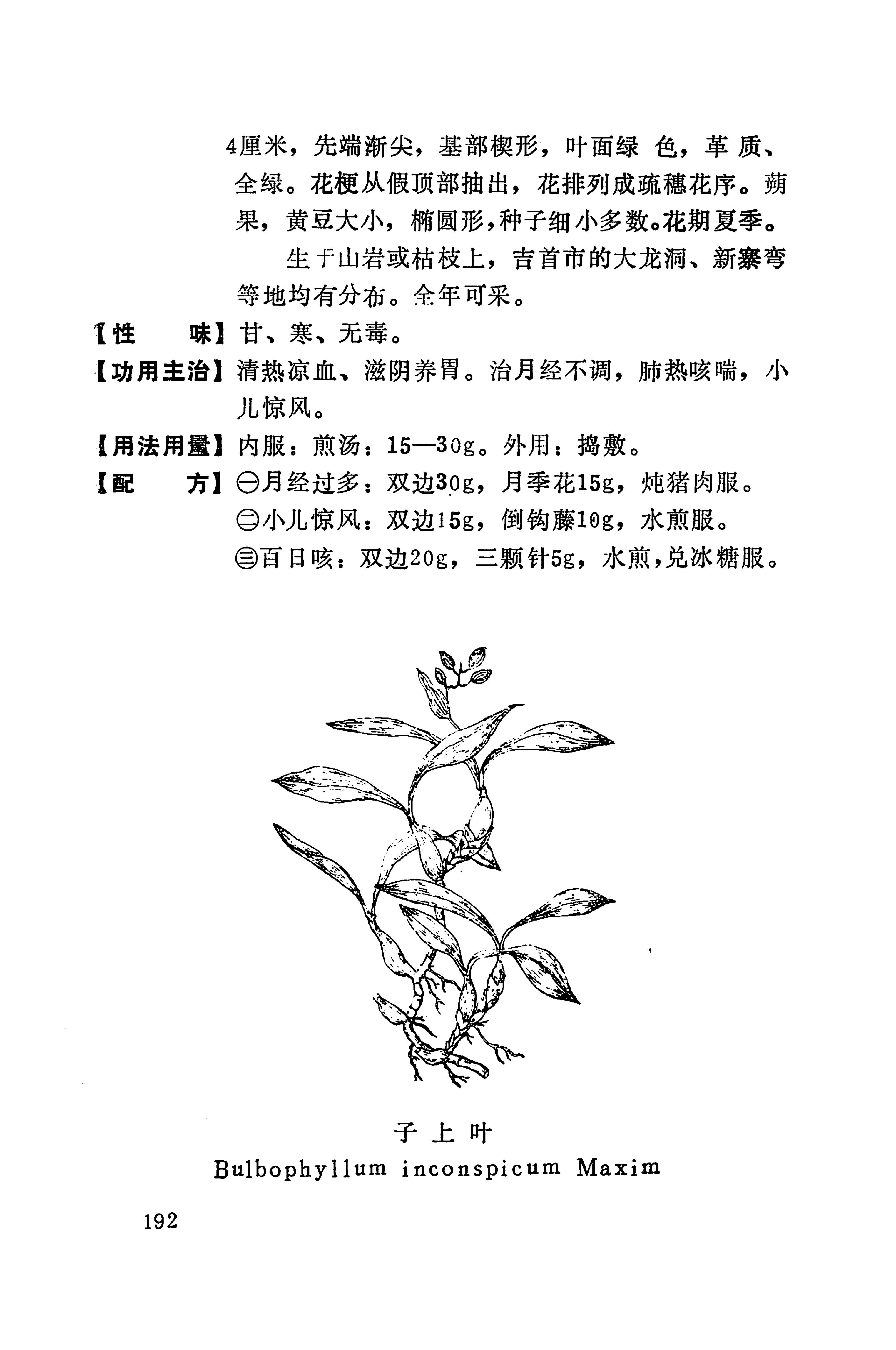 湘西苗药汇编_319.jpg