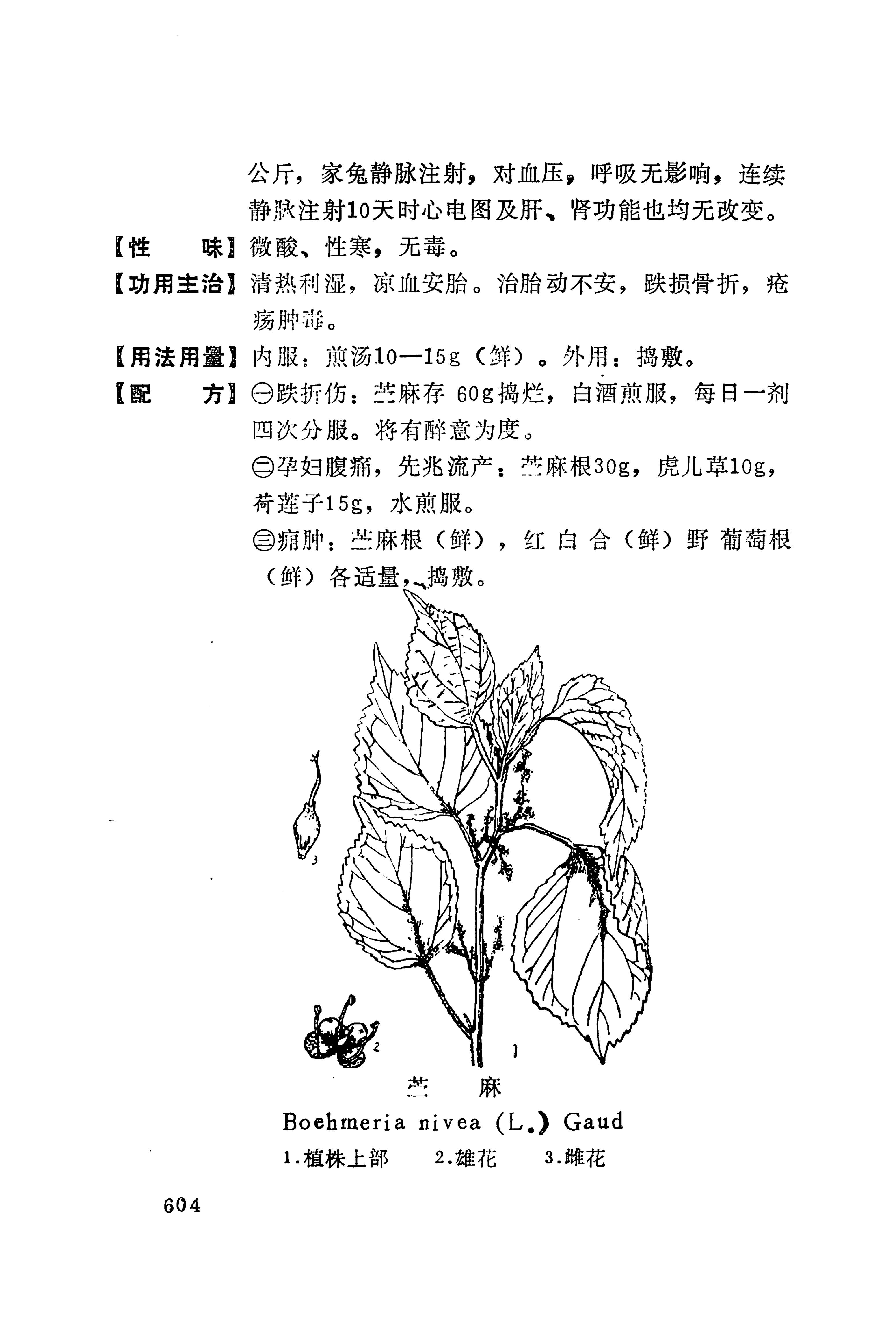 湘西苗药汇编_622.jpg