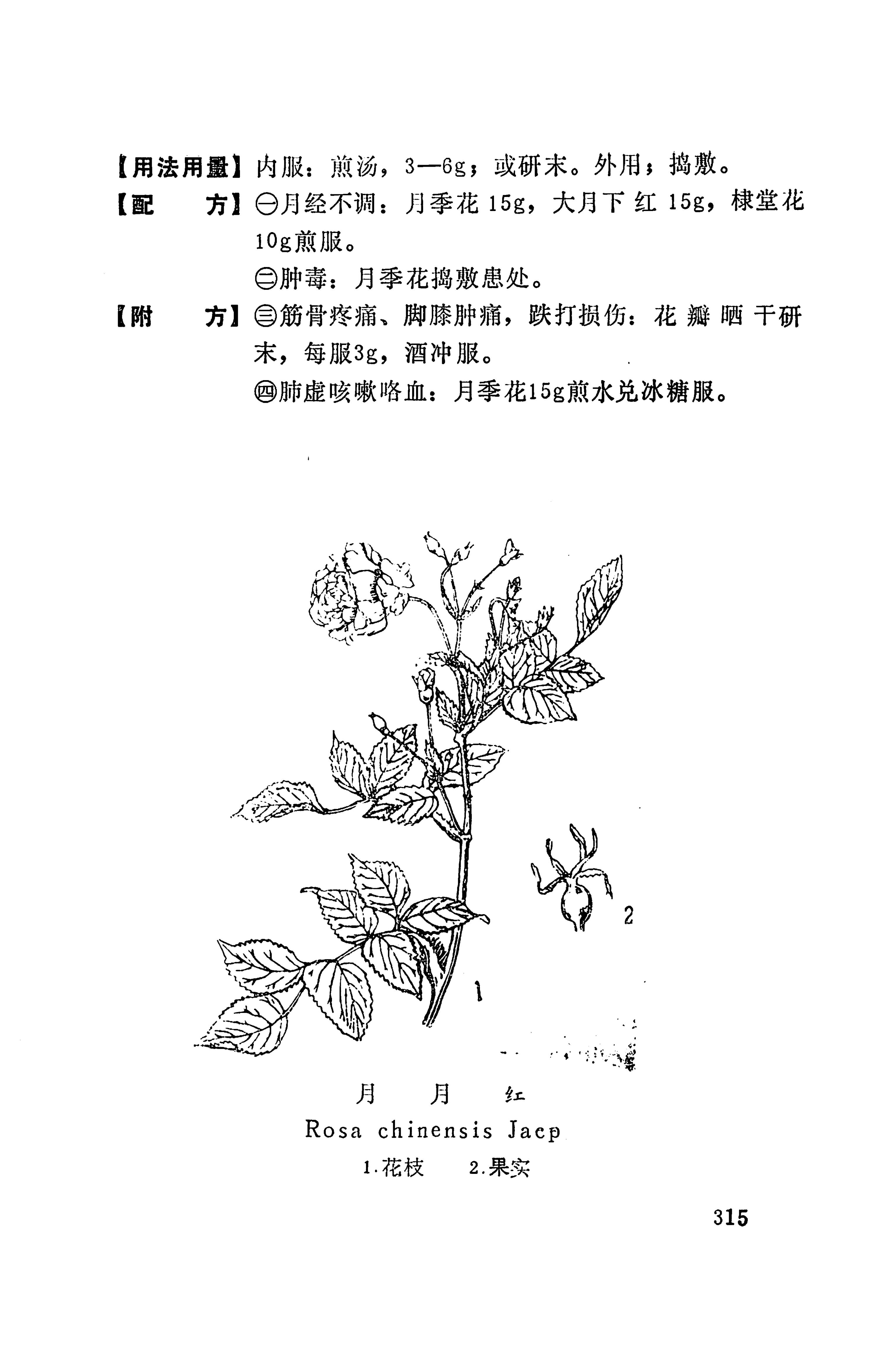 湘西苗药汇编_333.jpg
