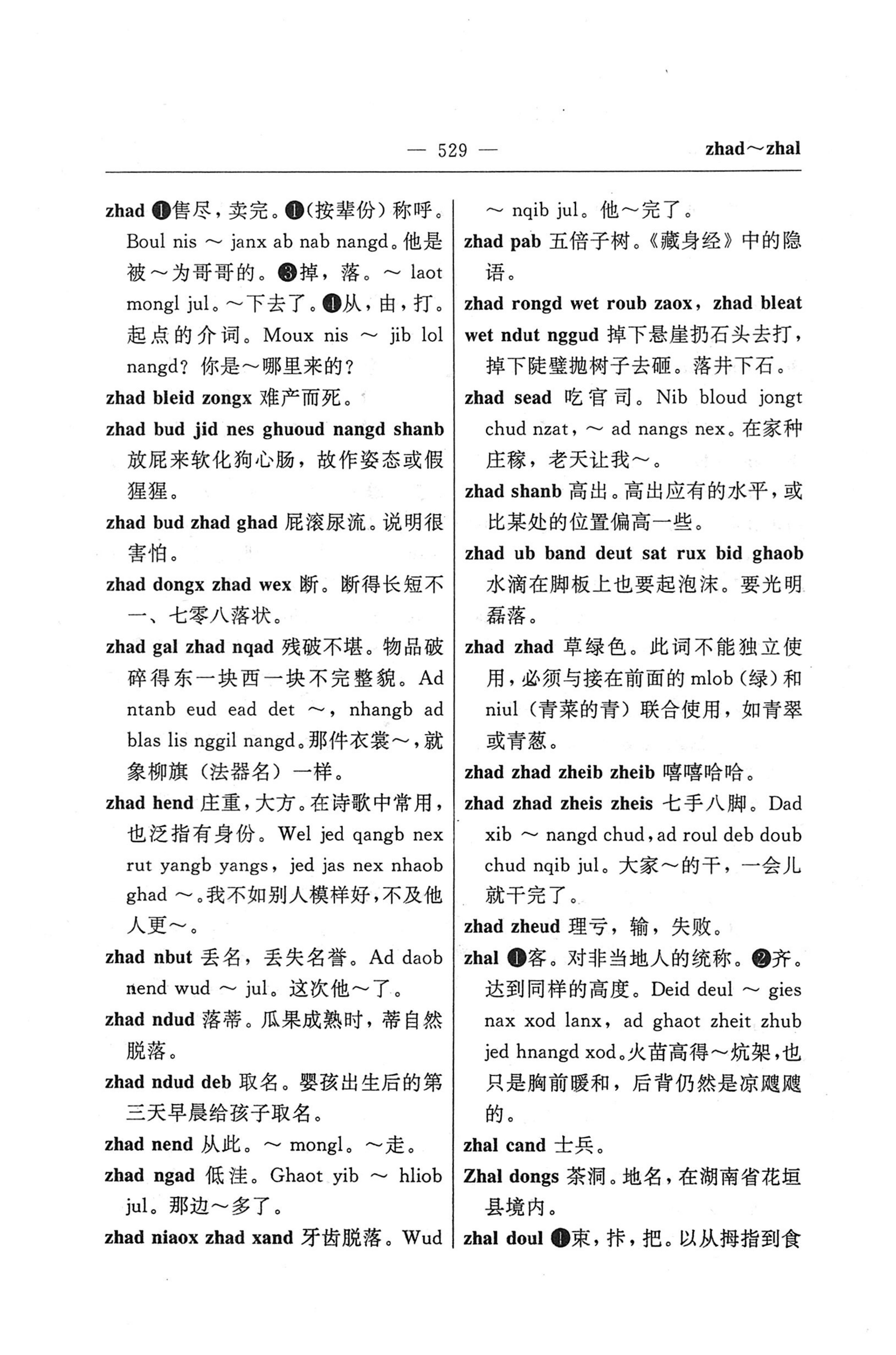 苗汉汉苗词典_541.jpg