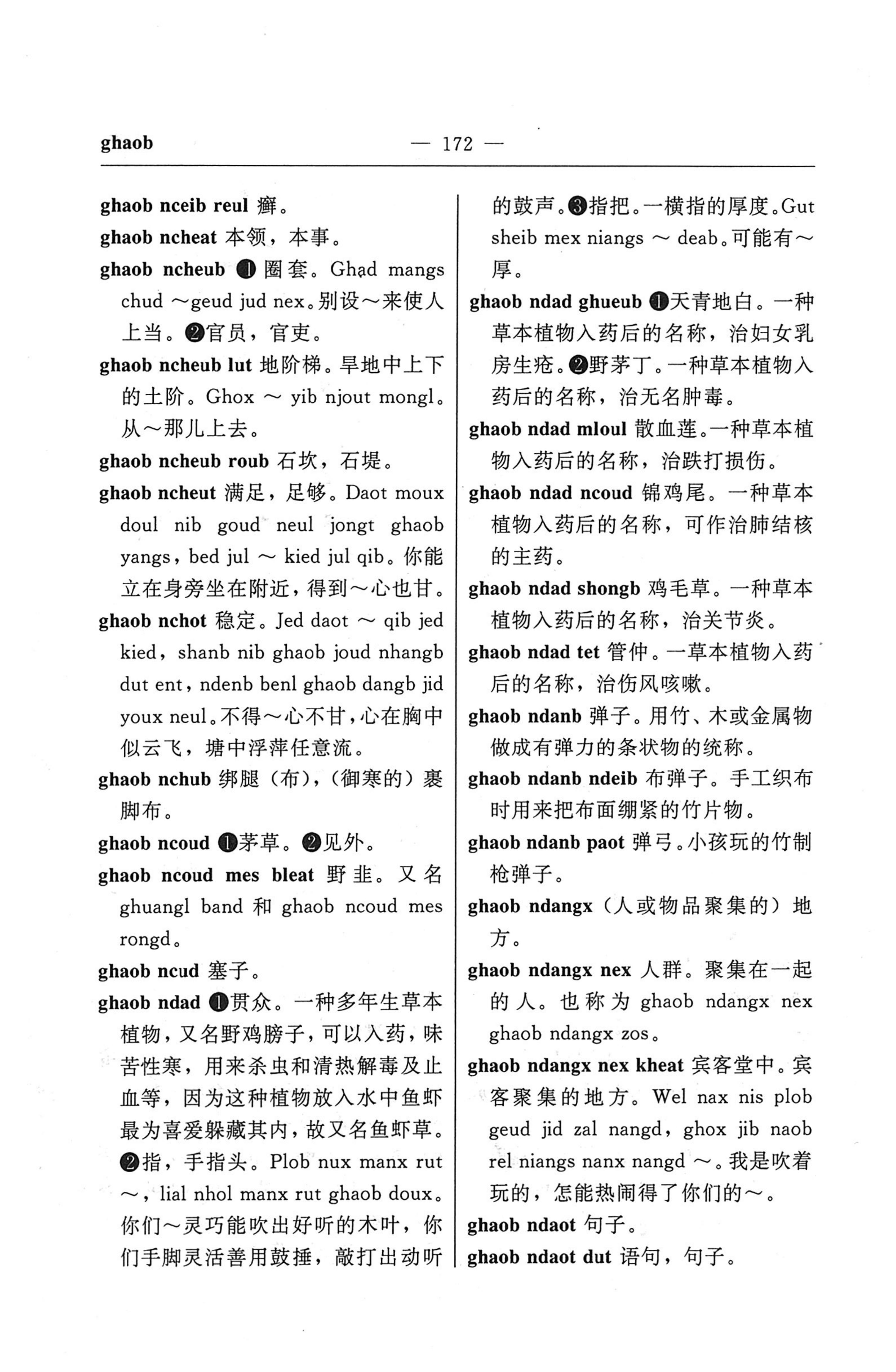 苗汉汉苗词典_184.jpg