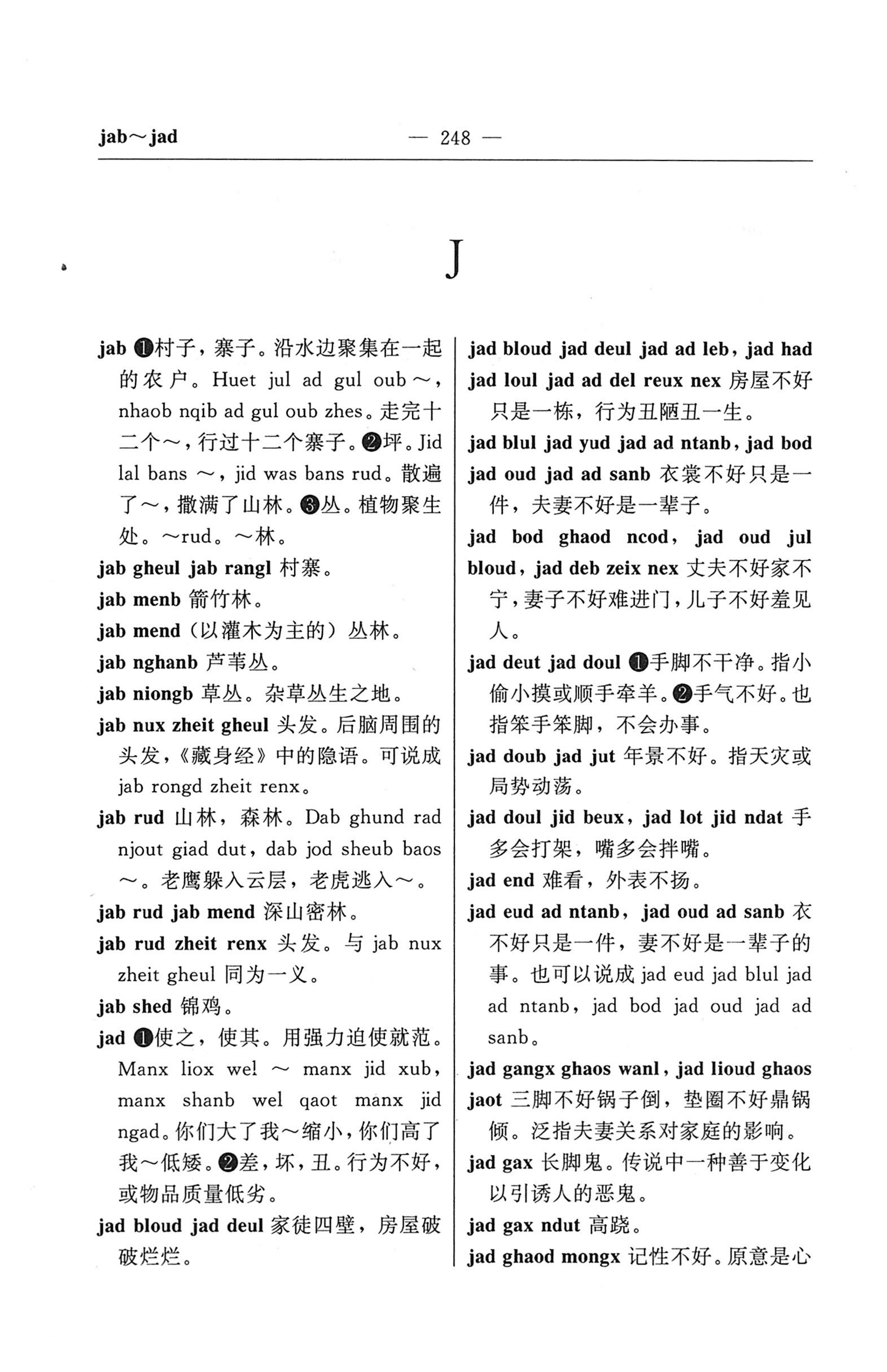苗汉汉苗词典_260.jpg