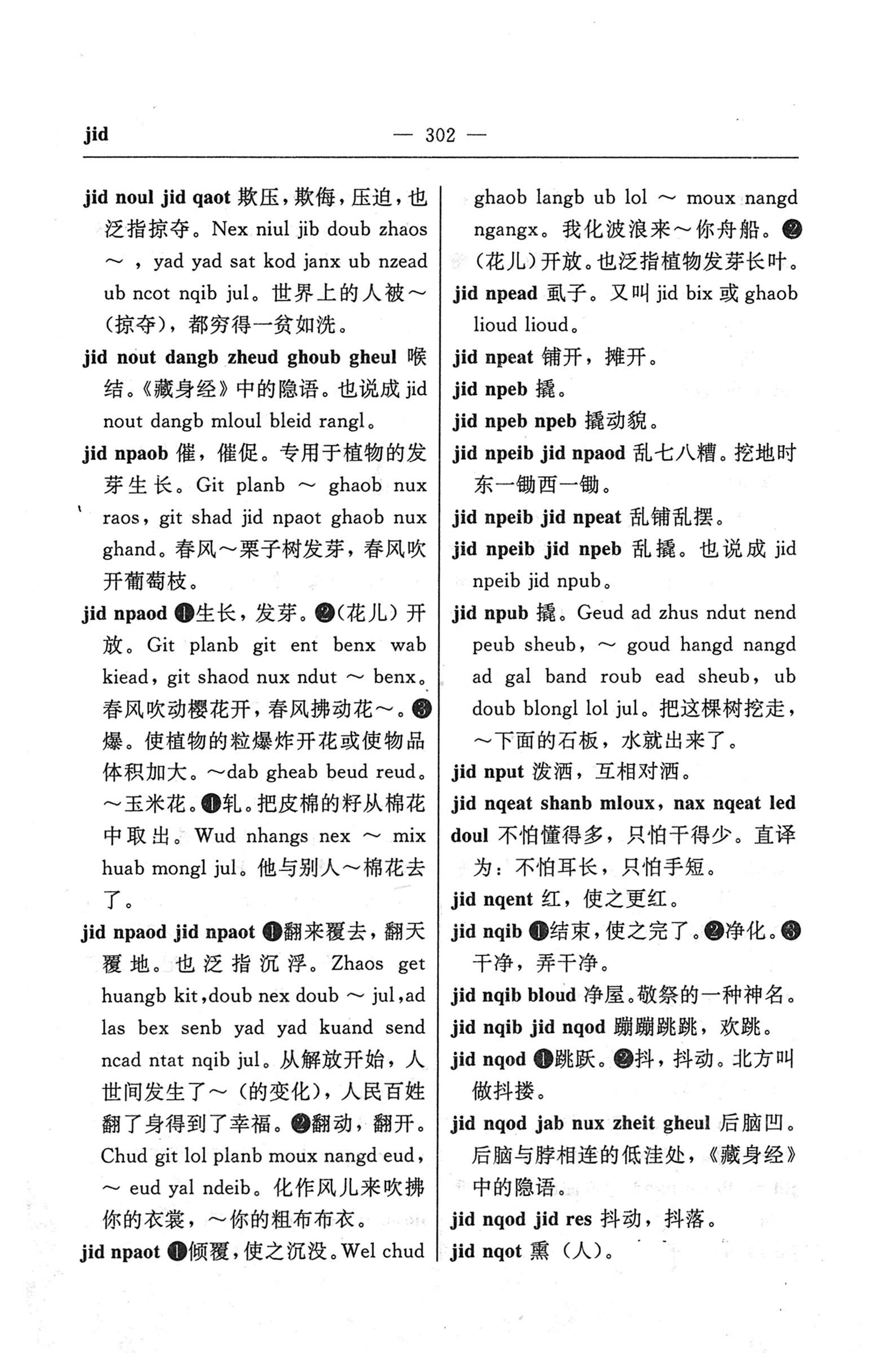 苗汉汉苗词典_314.jpg