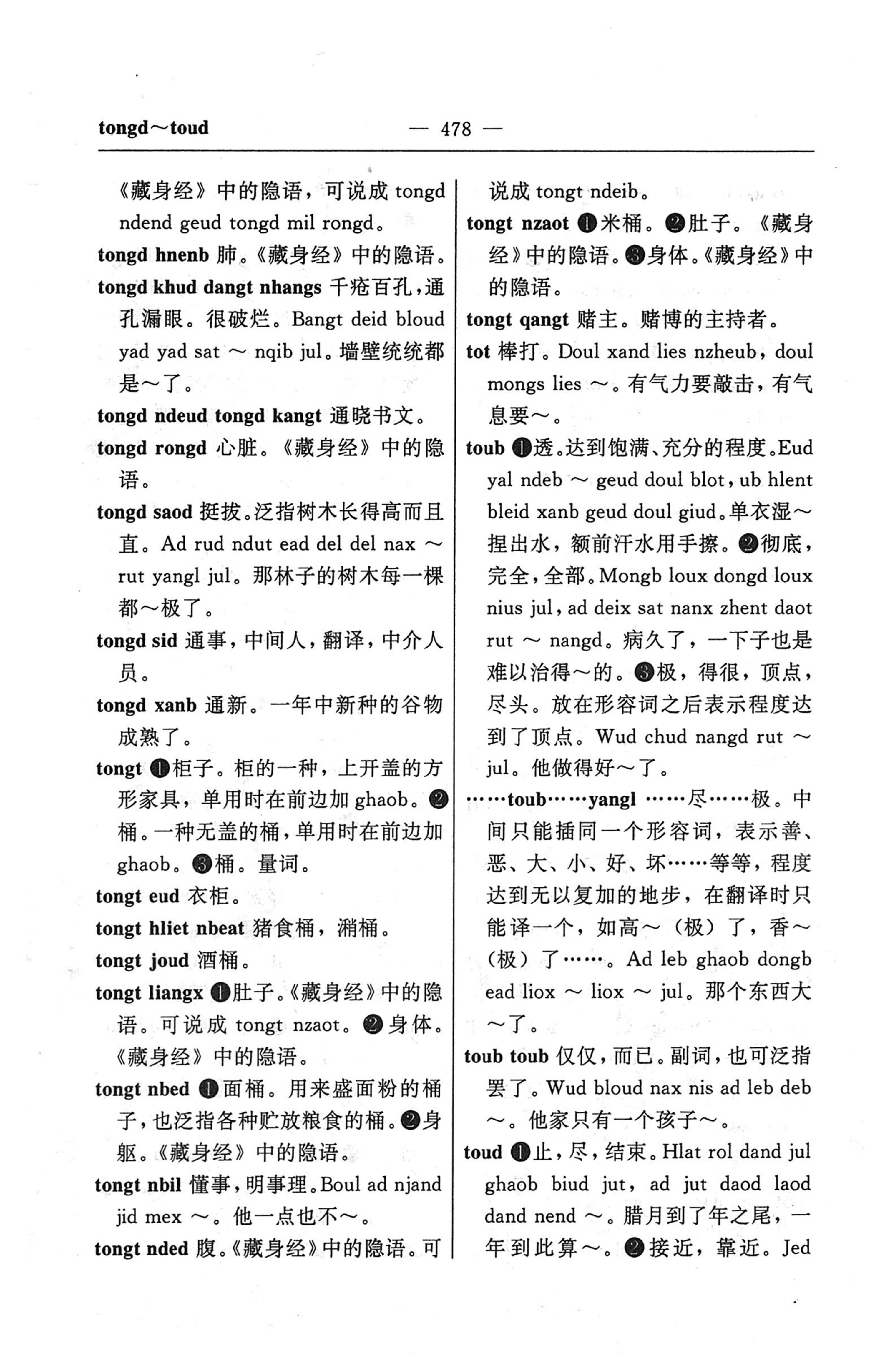 苗汉汉苗词典_490.jpg