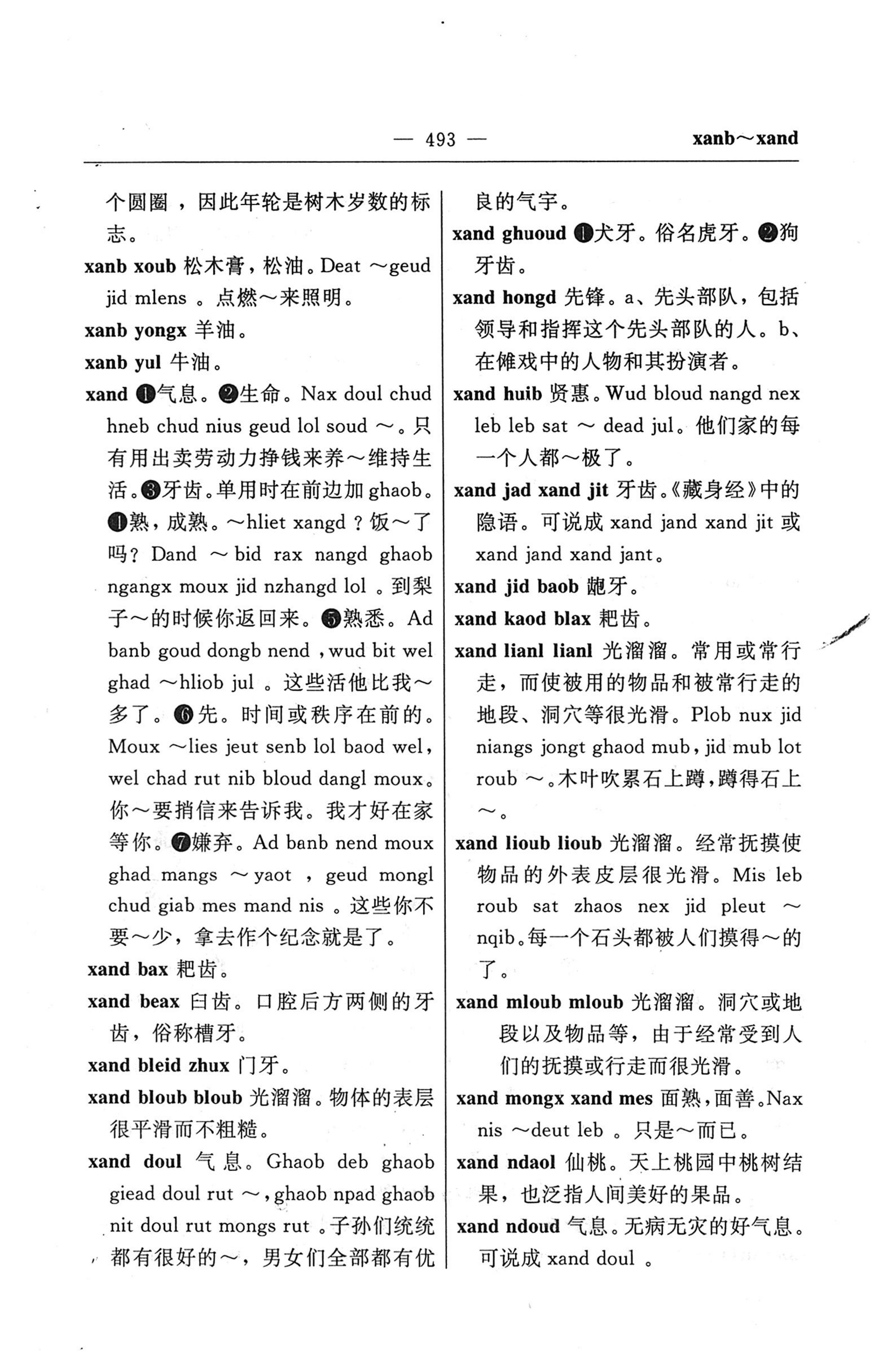 苗汉汉苗词典_505.jpg