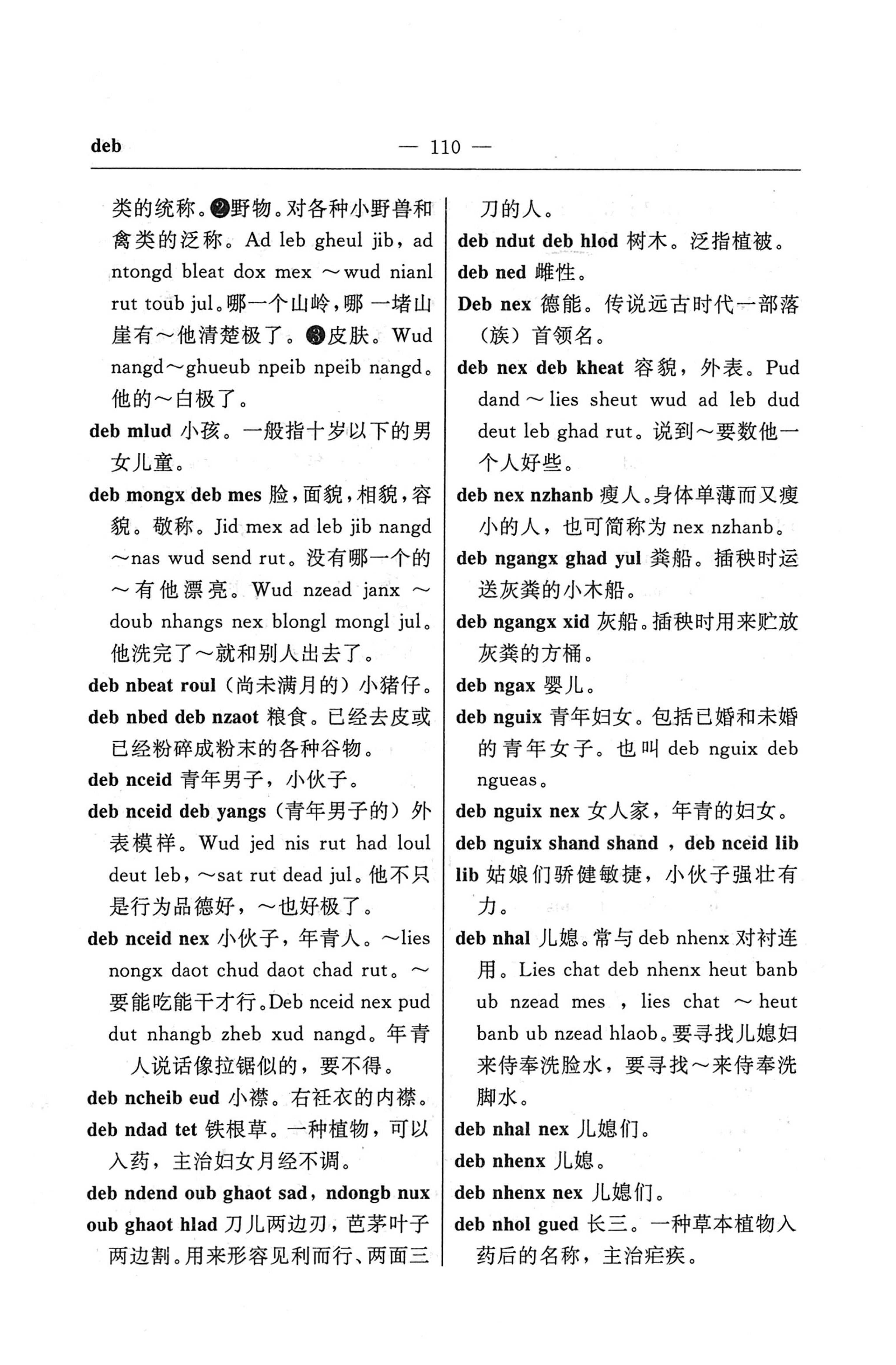 苗汉汉苗词典_122.jpg