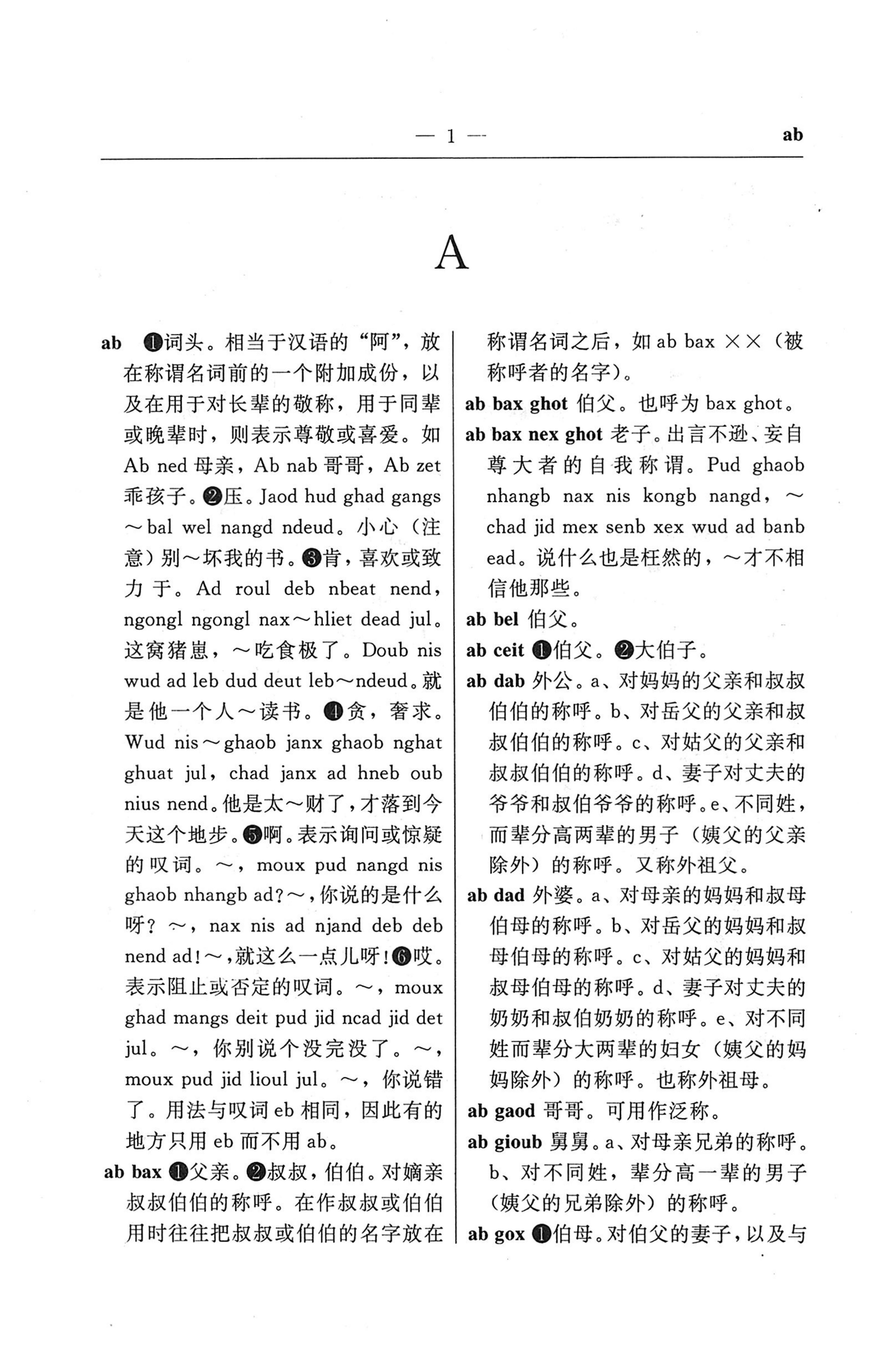 苗汉汉苗词典_13.jpg