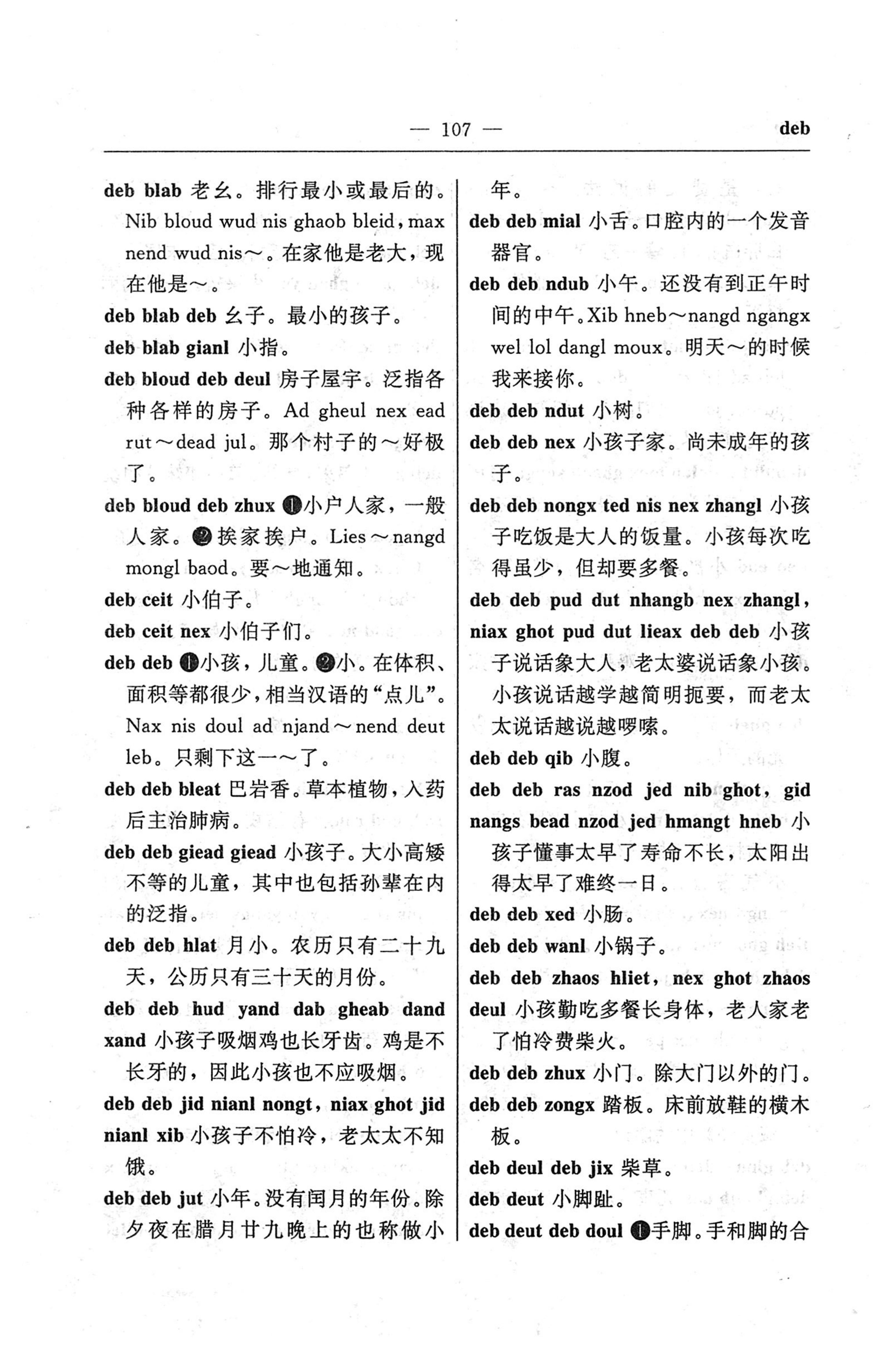 苗汉汉苗词典_119.jpg
