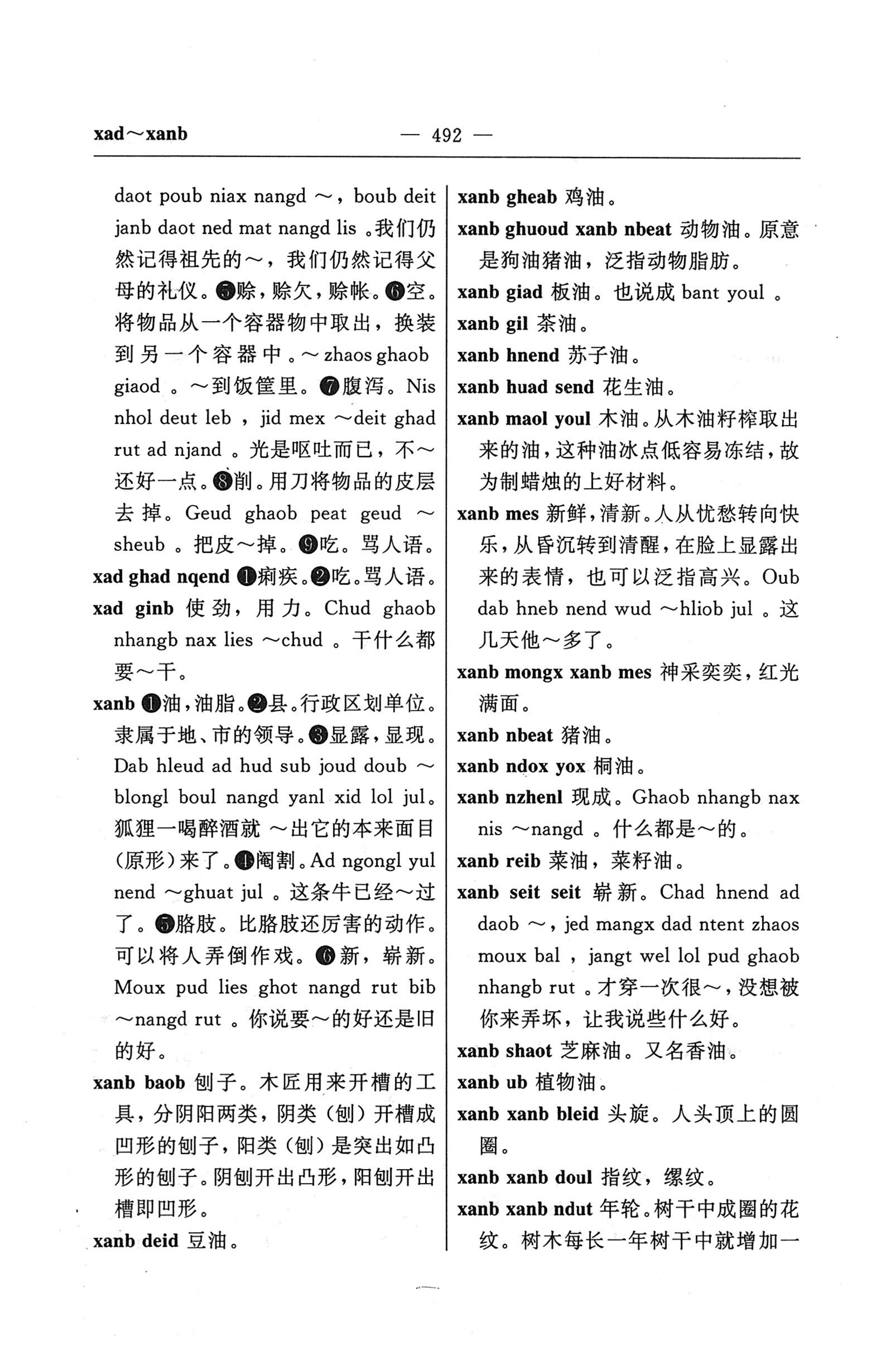 苗汉汉苗词典_504.jpg