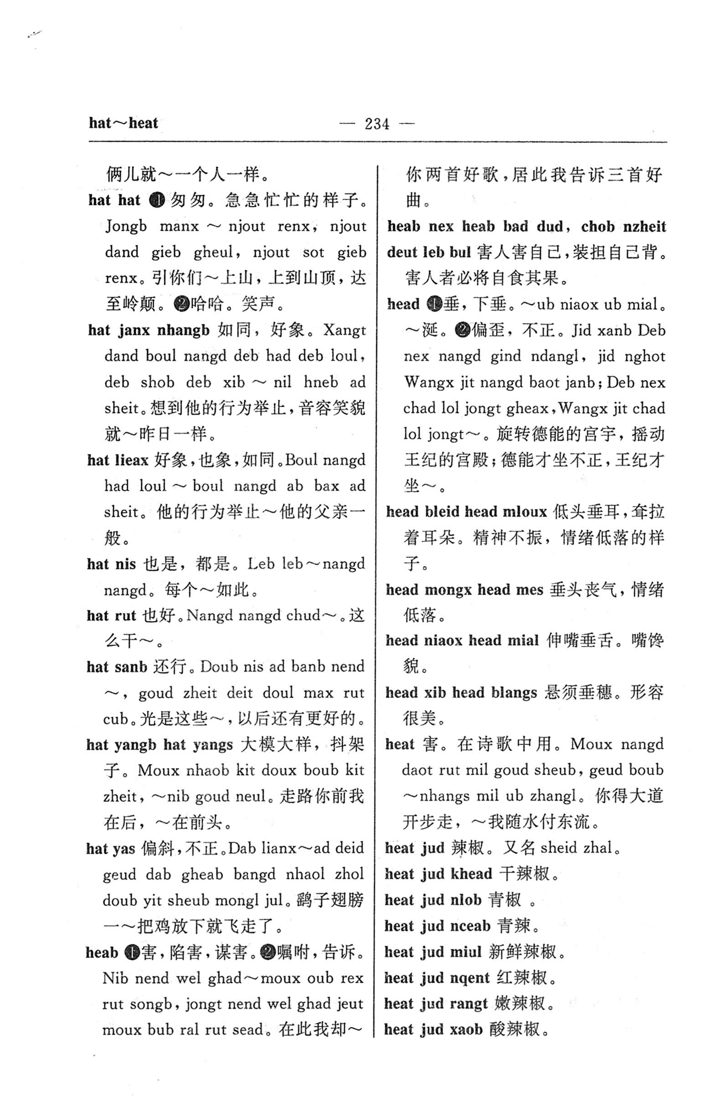 苗汉汉苗词典_246.jpg