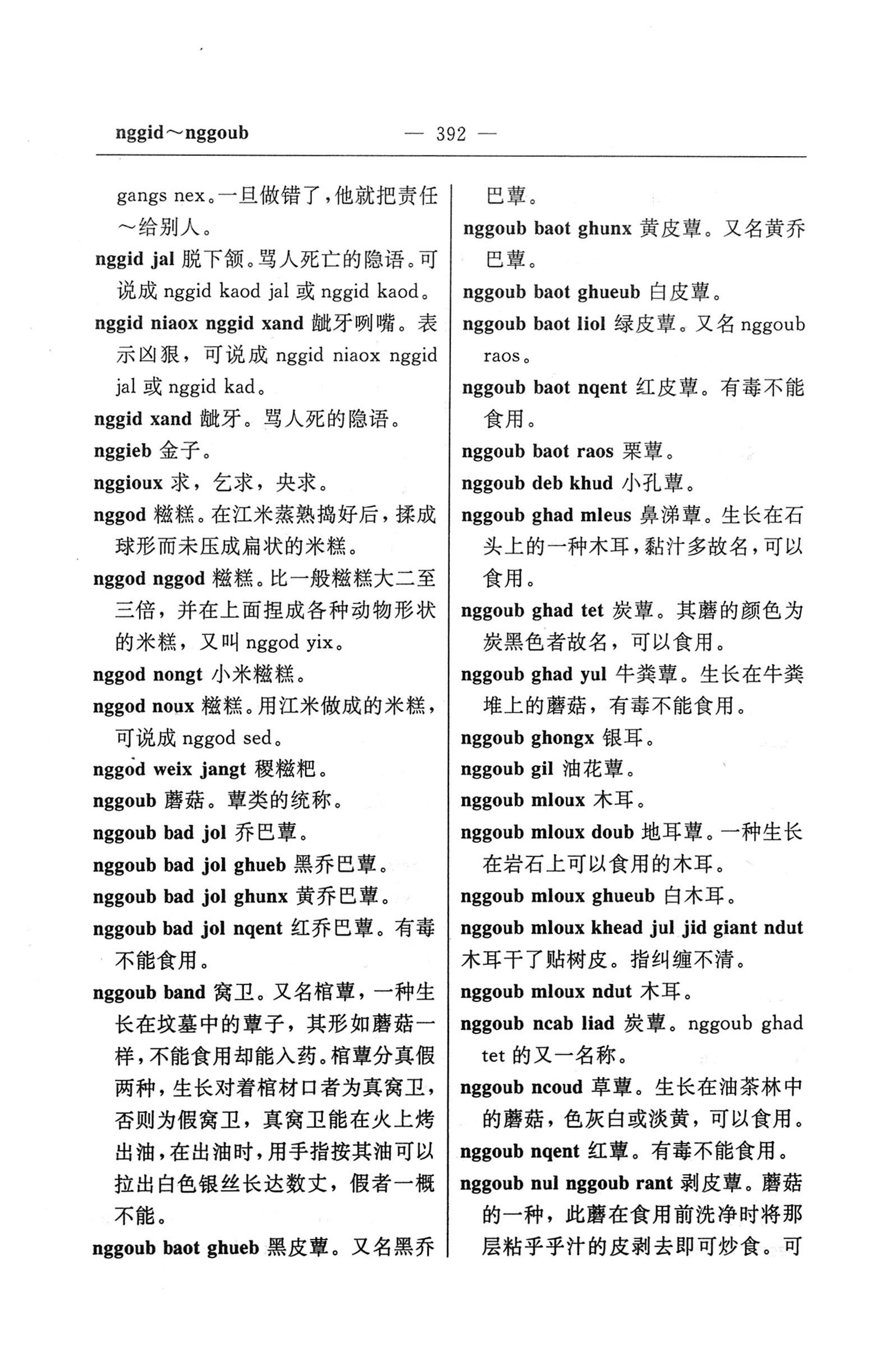 苗汉汉苗词典_404.jpg