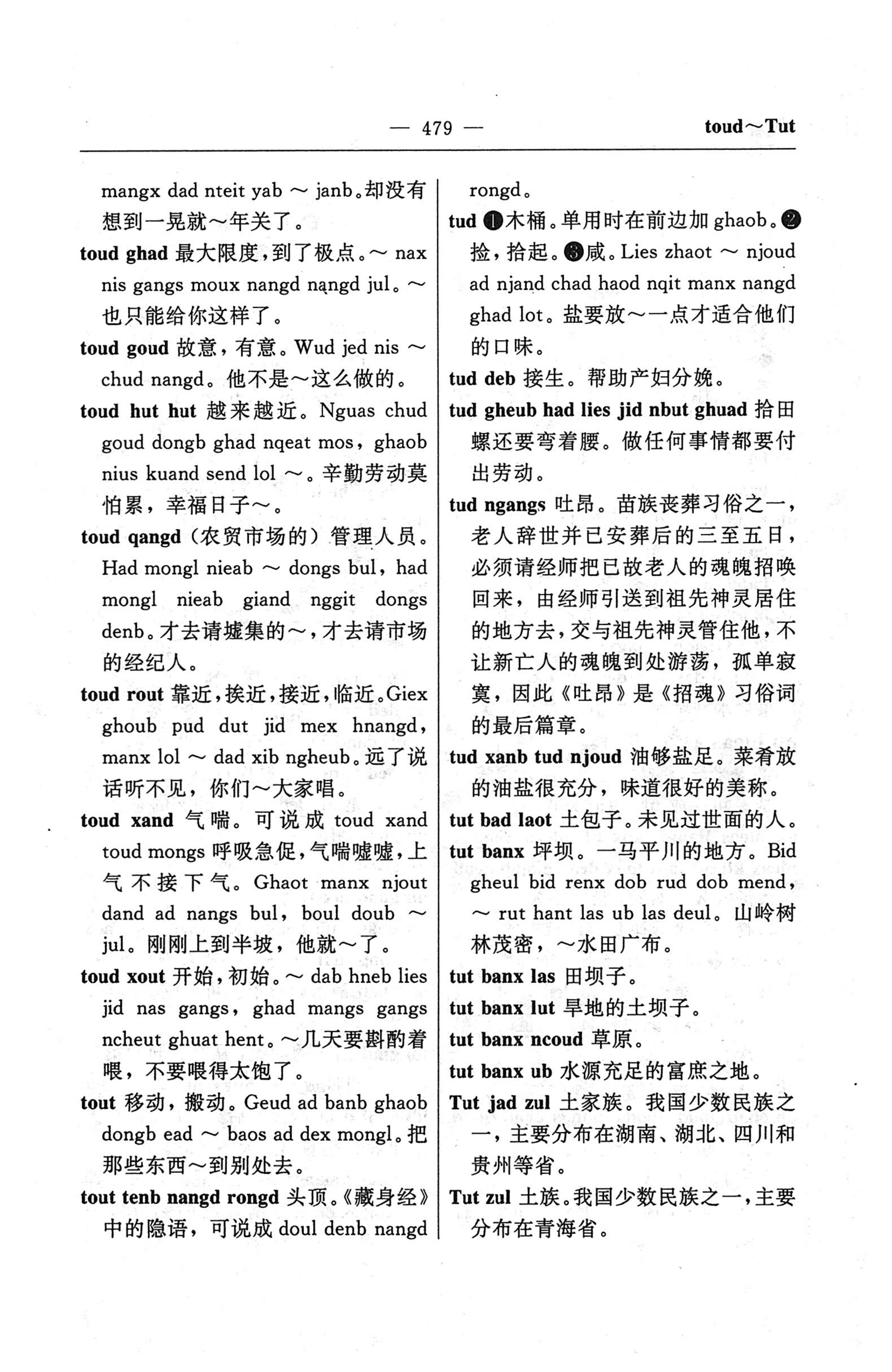 苗汉汉苗词典_491.jpg