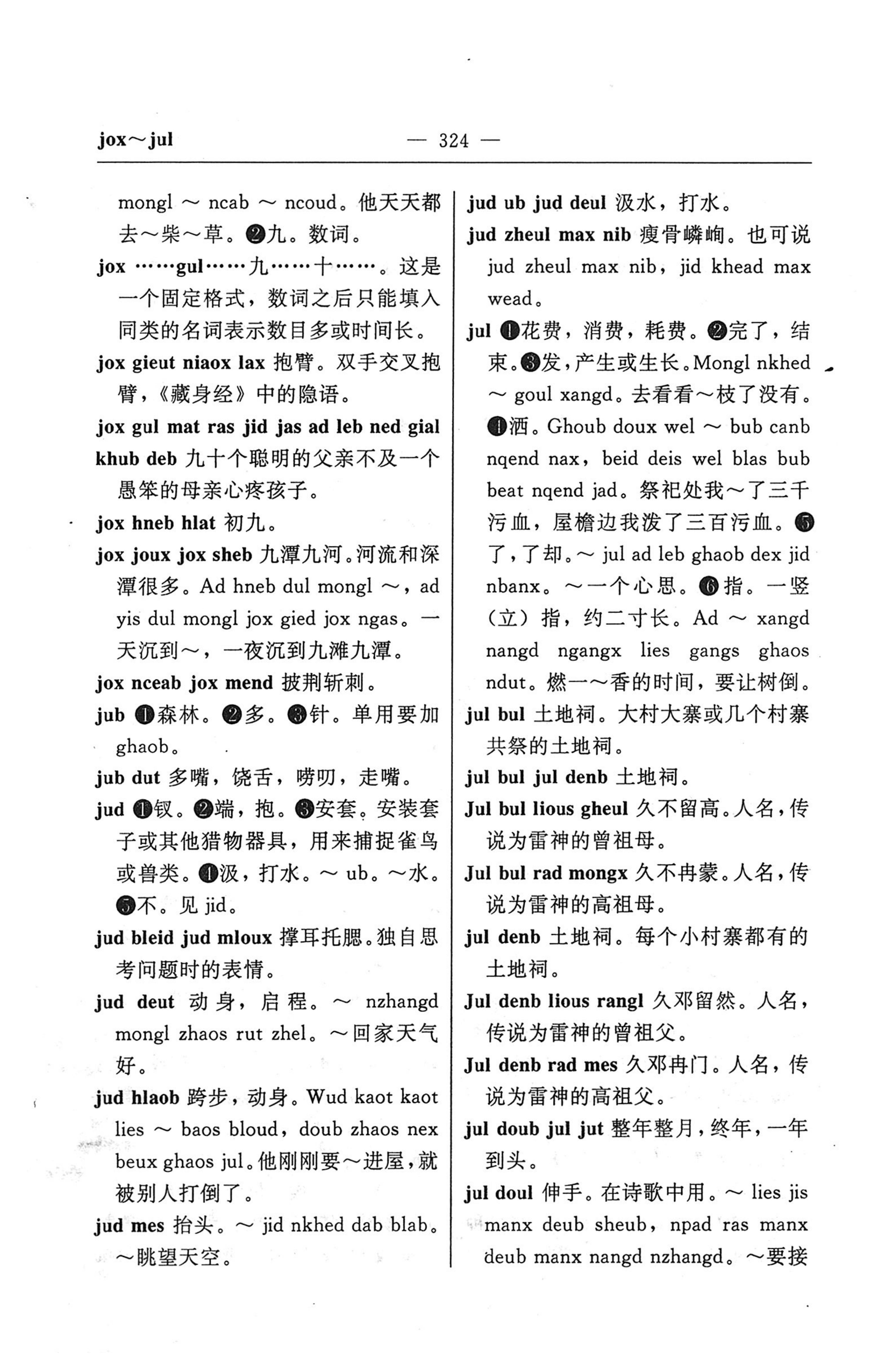 苗汉汉苗词典_336.jpg
