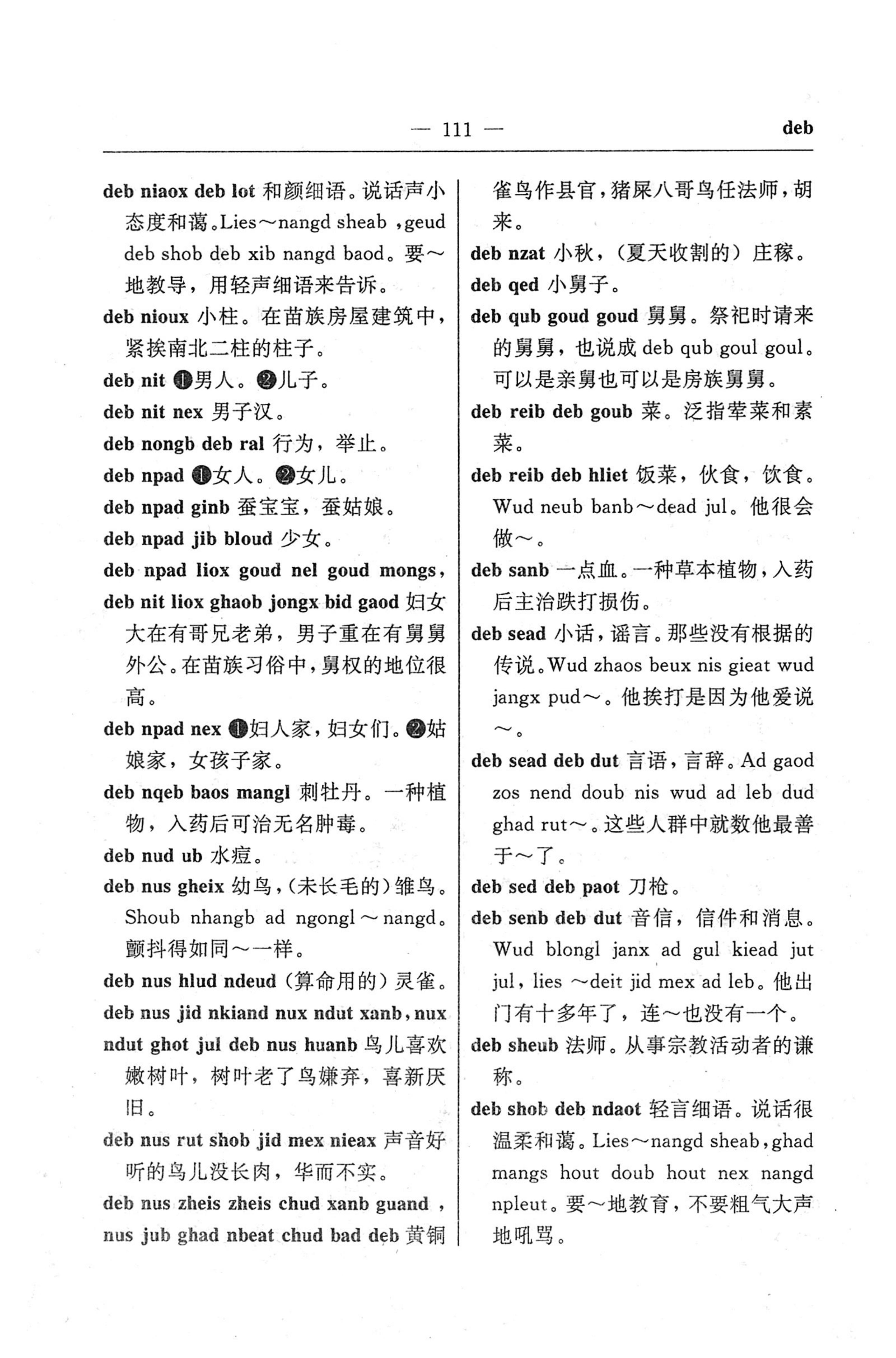 苗汉汉苗词典_123.jpg