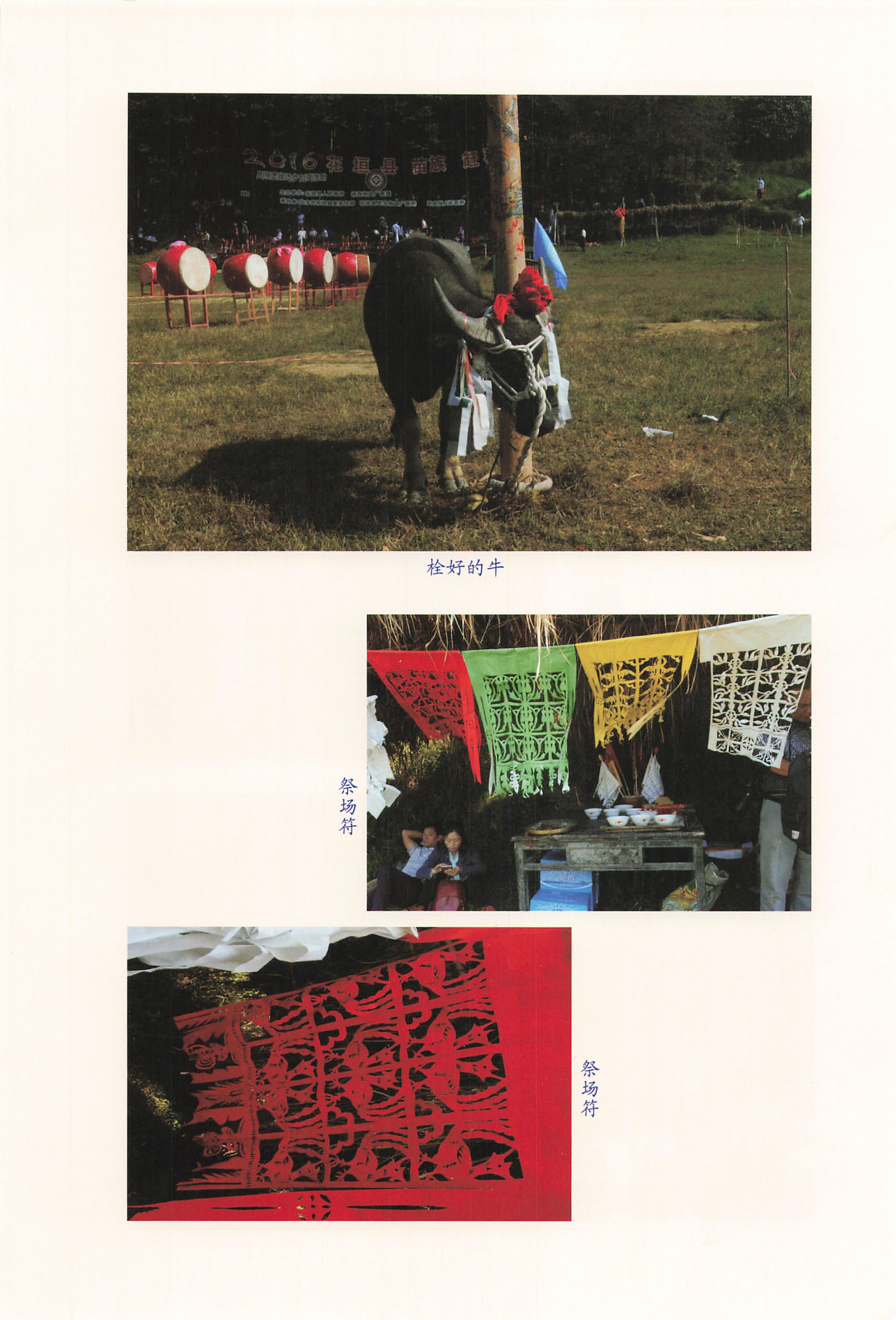 湘西苗族椎牛民俗文化研究_284.jpg
