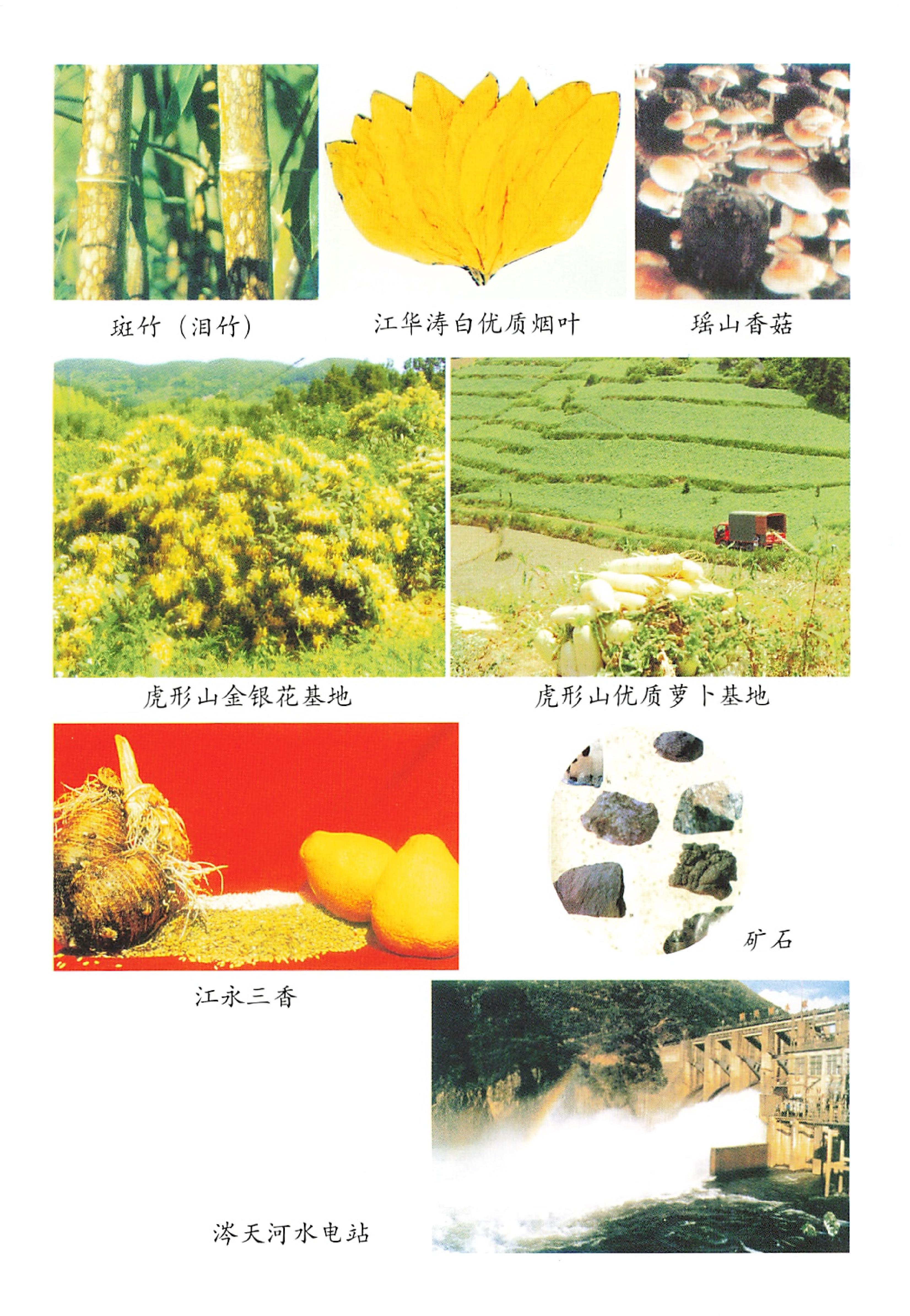 湖南瑶族_17.jpg