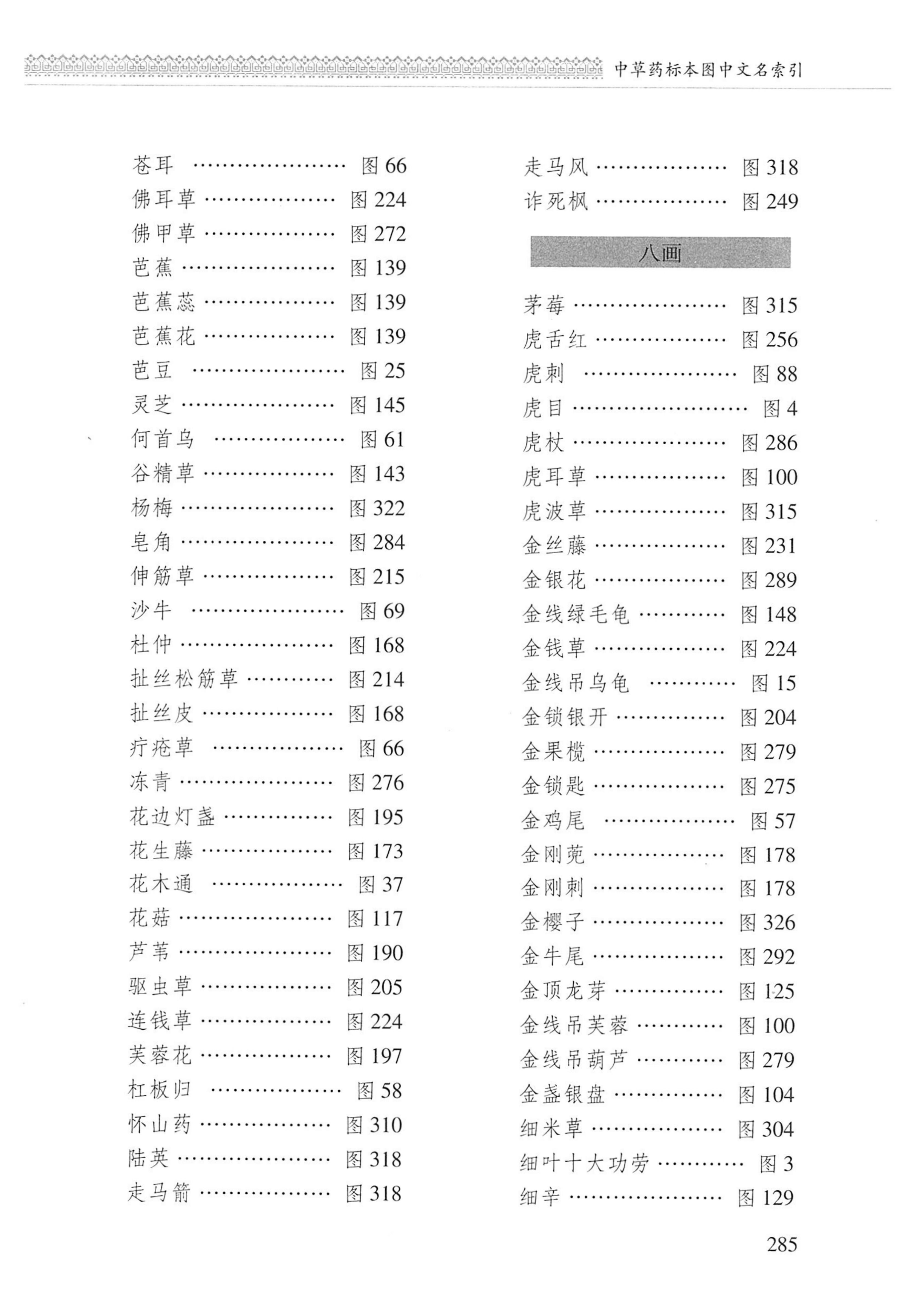 湖南瑶族医药_386.jpg