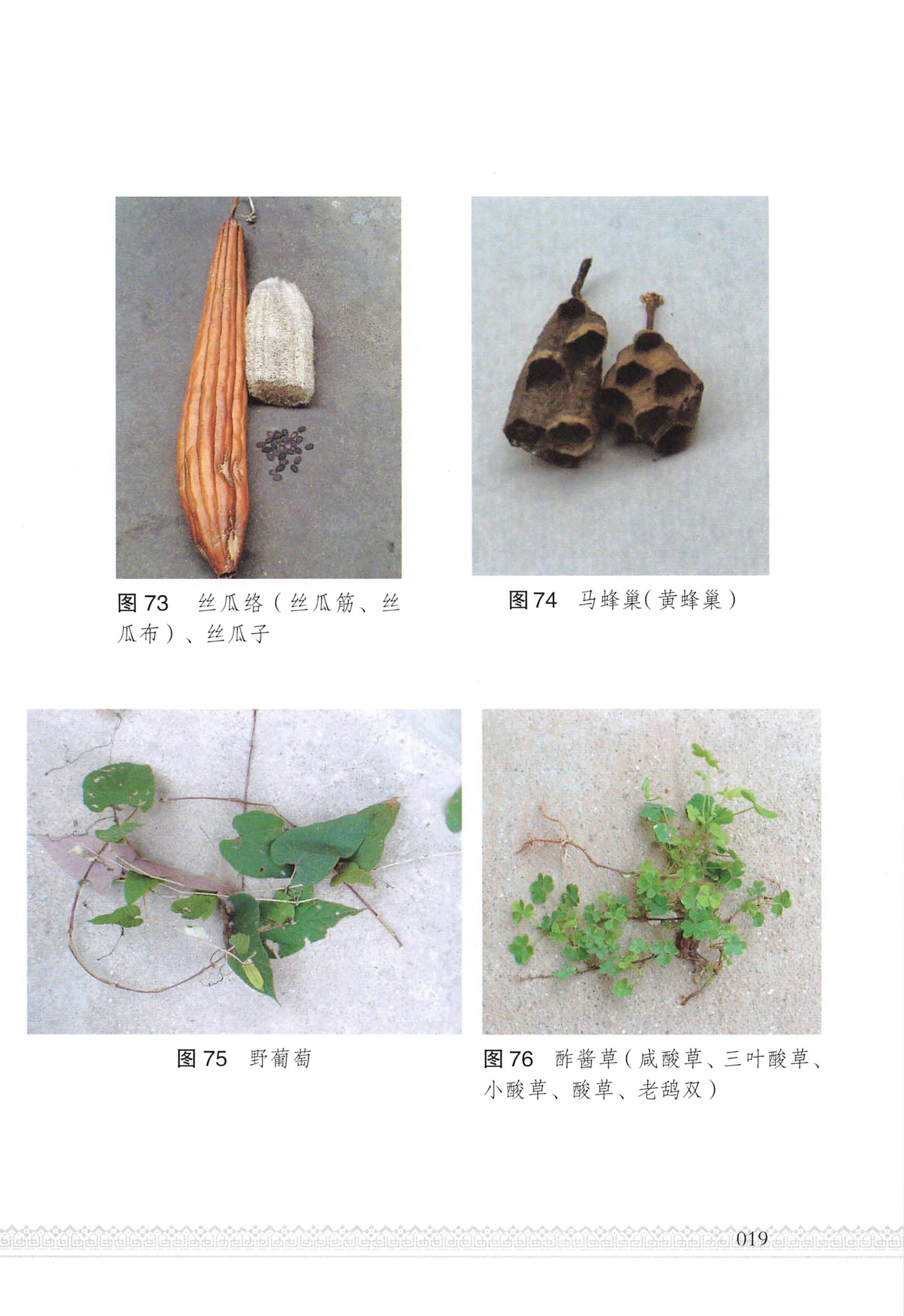 湖南瑶族医药_24.jpg