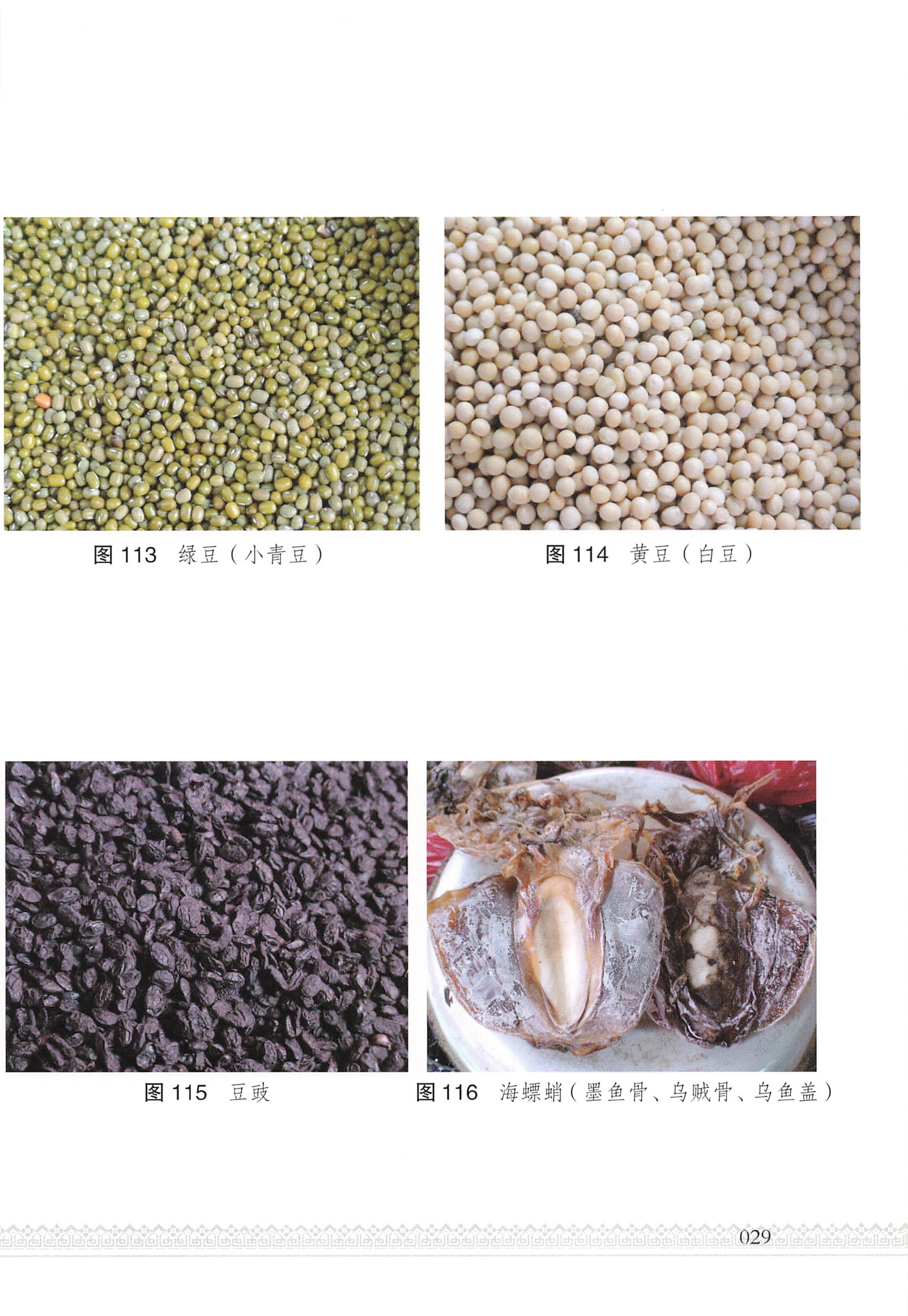 湖南瑶族医药_34.jpg