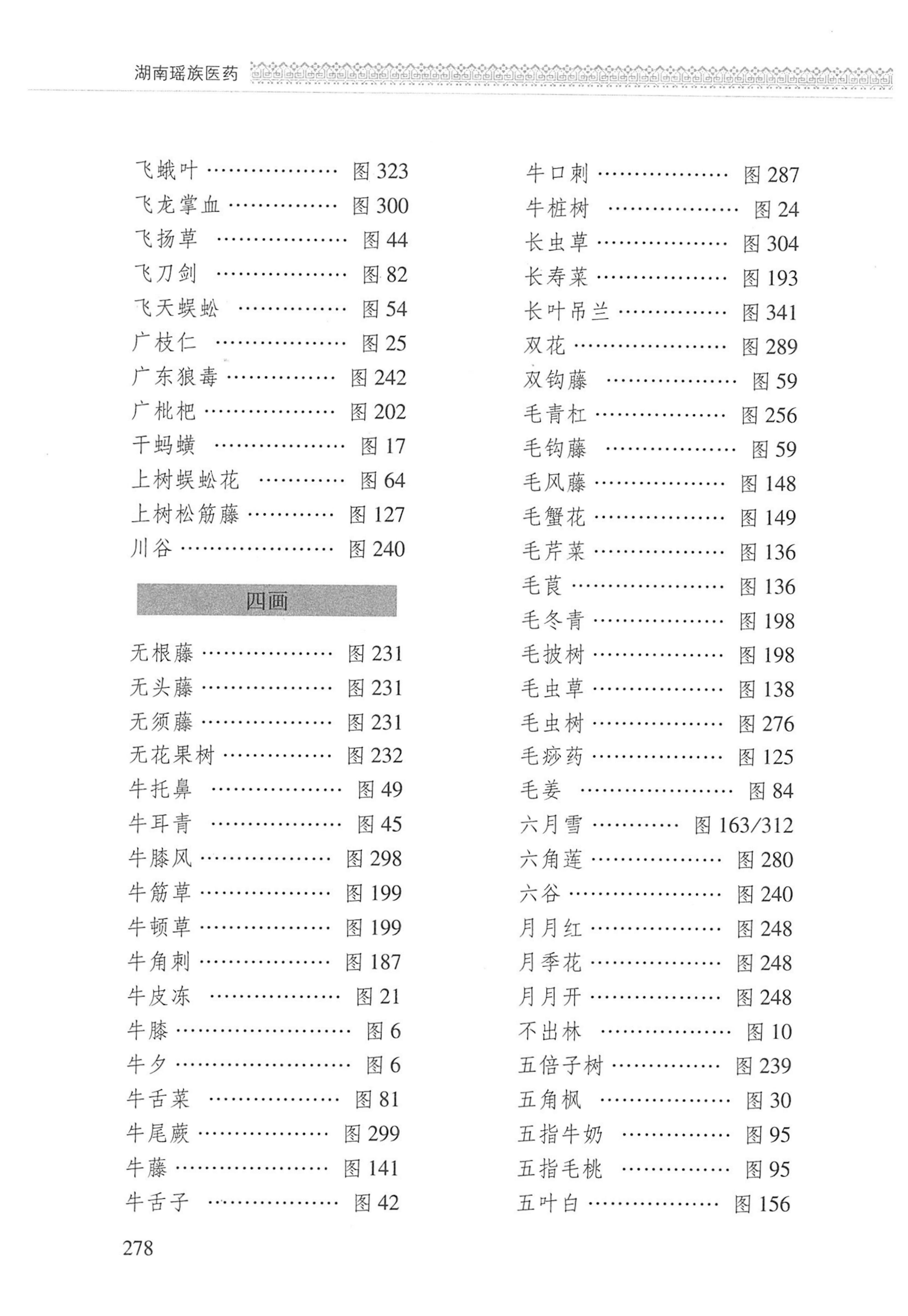 湖南瑶族医药_379.jpg